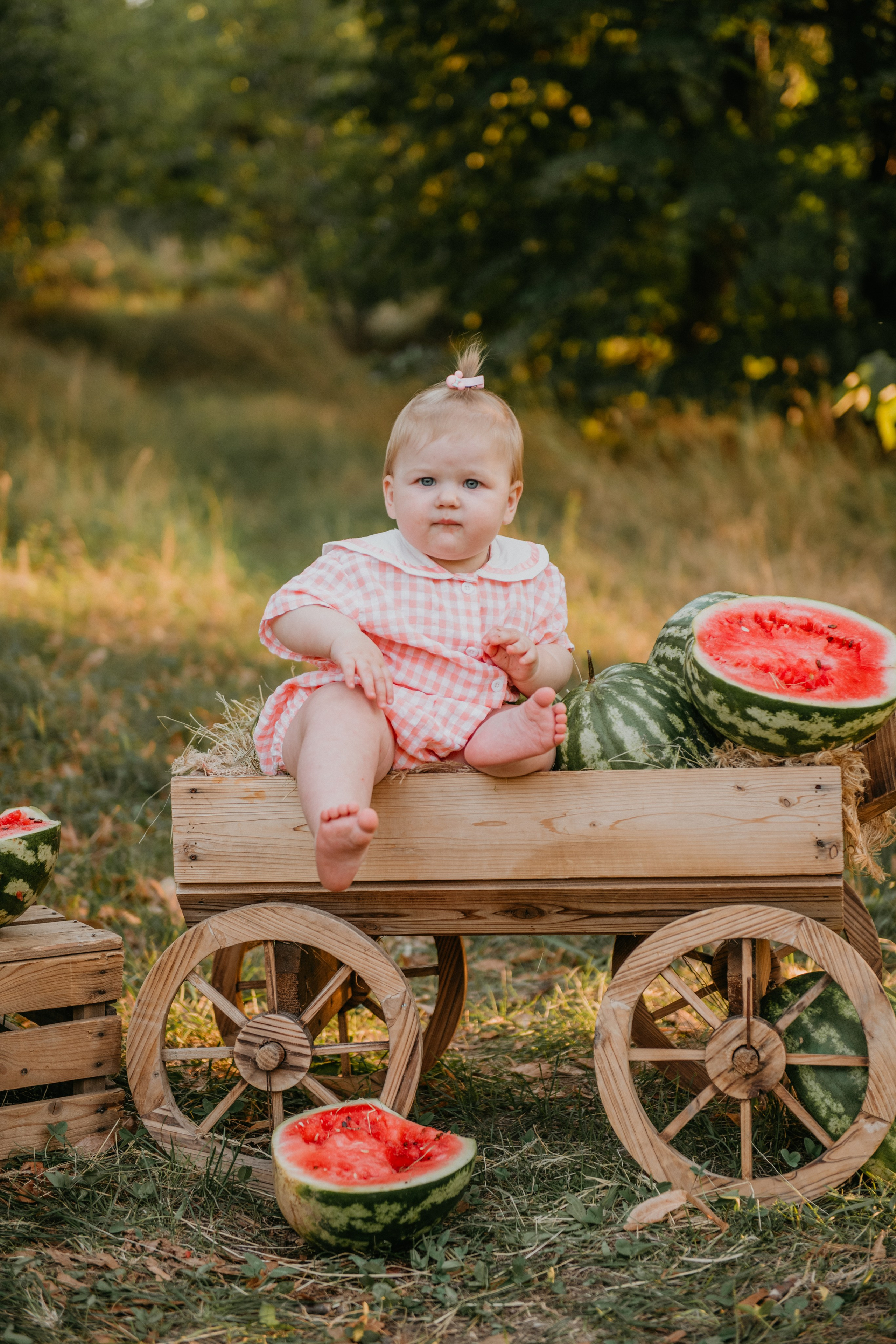 Арбузики. Детский и семейный фотограф в Армавире Даша Зубкова