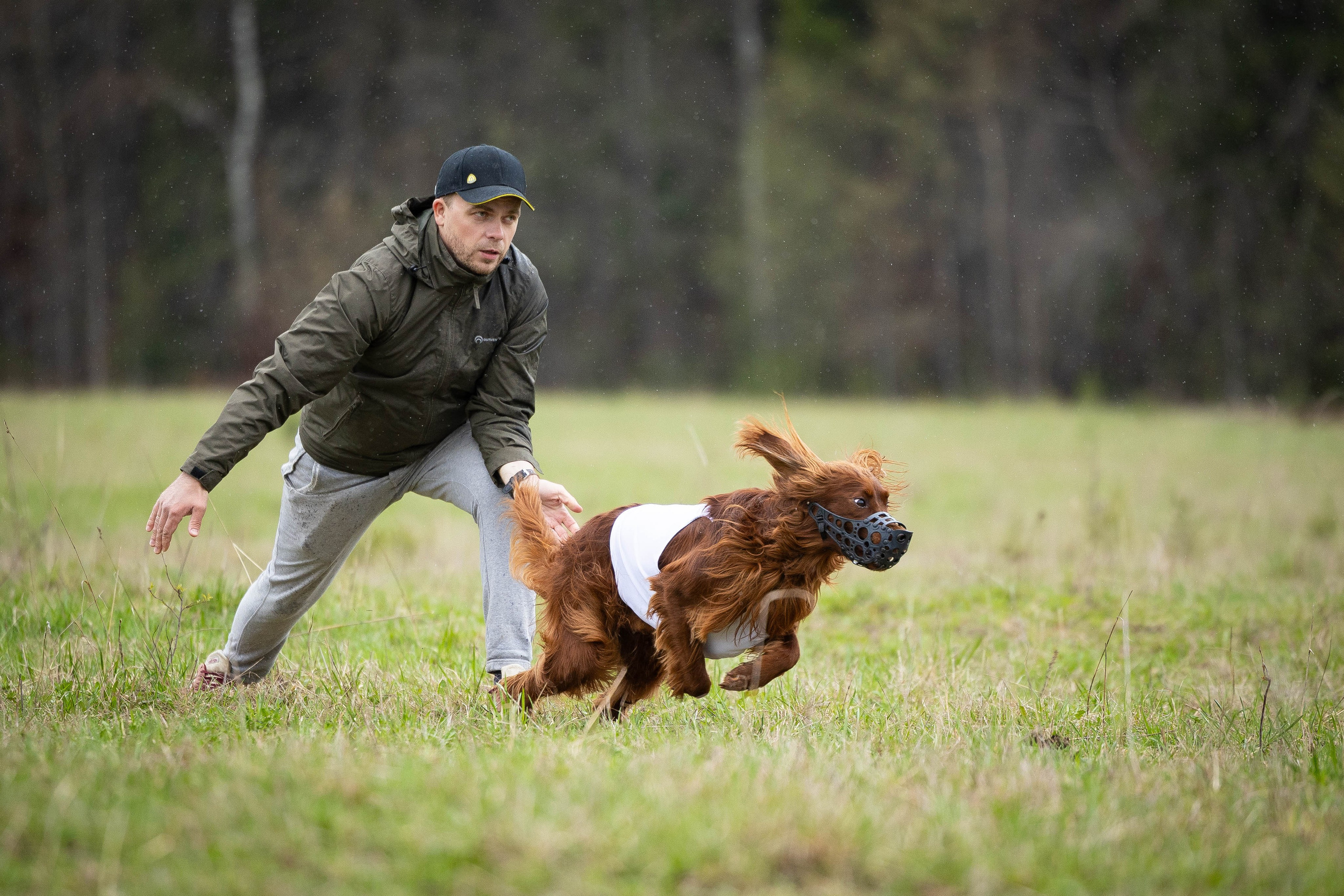 Курсинг. Фотограф Анималист в Перми Анастасия Остерман