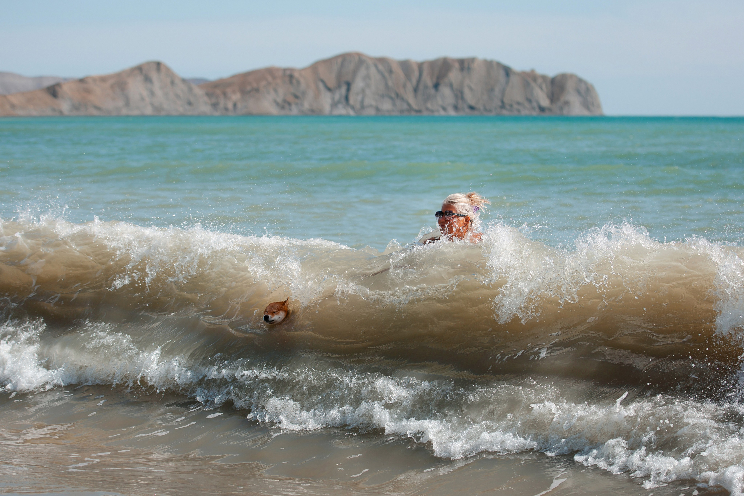 Фотосессия «Человек и собака». Фотограф-анималист в Краснодаре Маша Мельникова