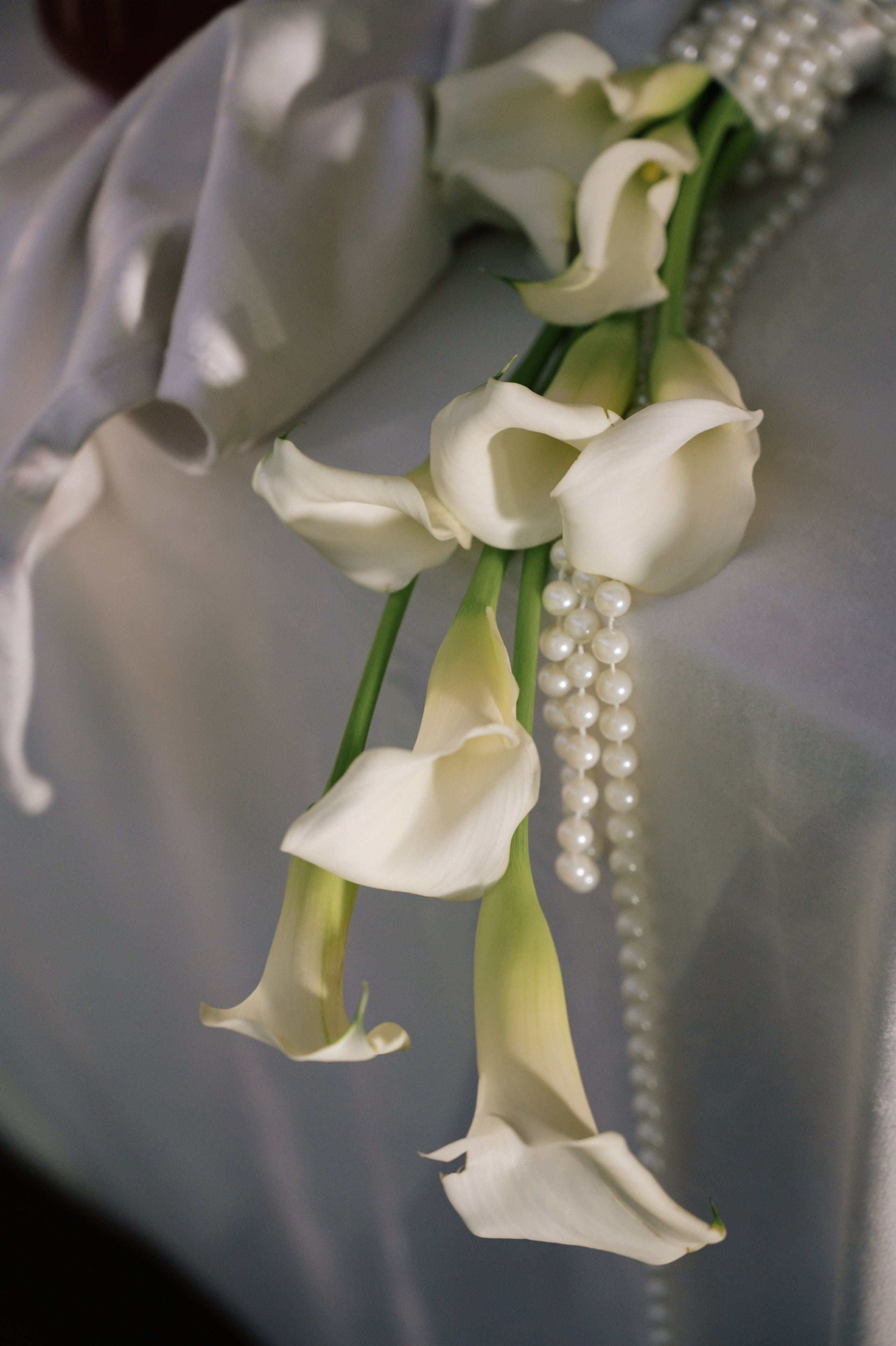 Anastasia & Vadim. Свадебный и семейный фотограф Вероника Холод