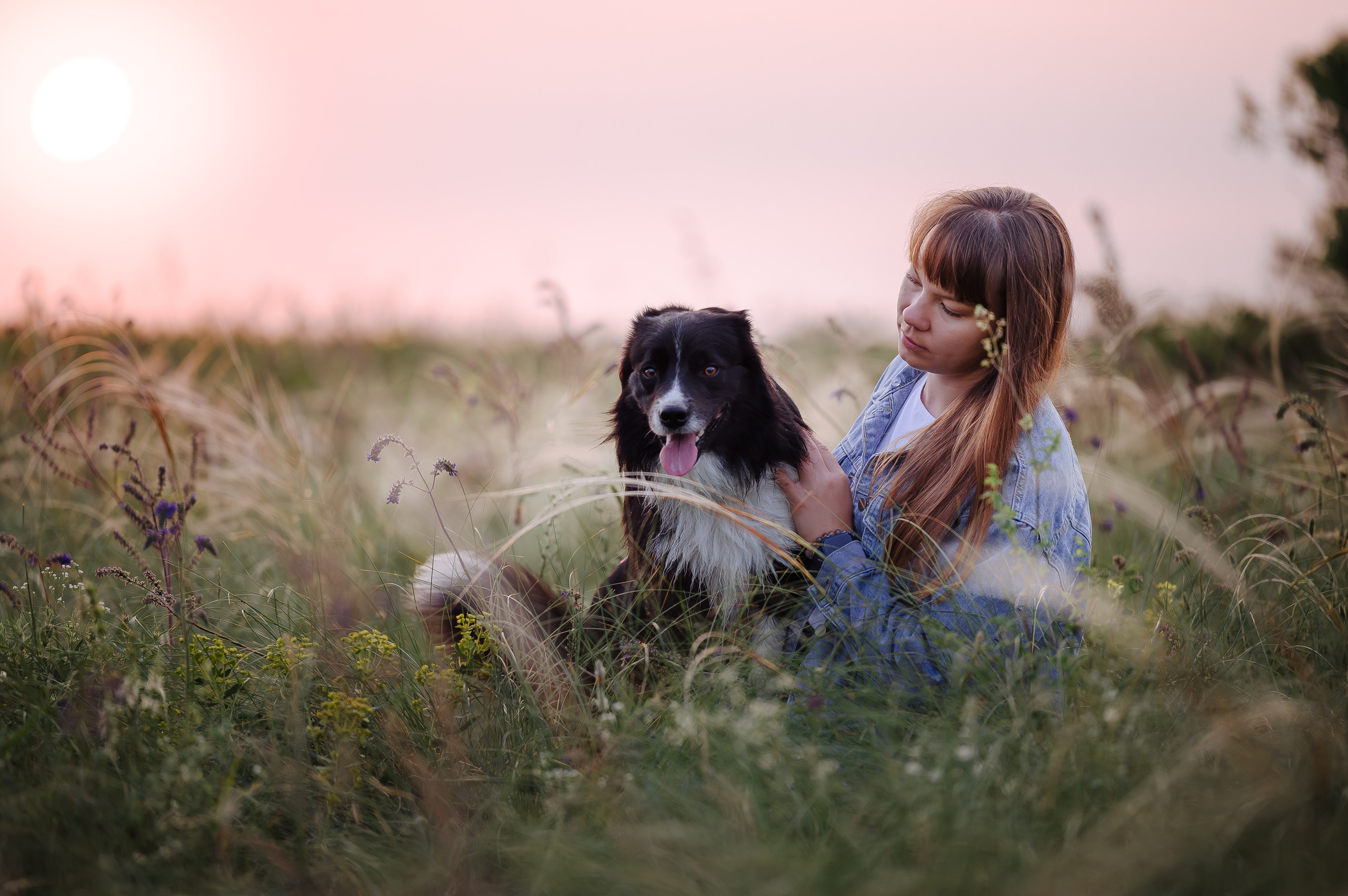 Прогулка на рассвете с бордер-колли. Фотограф в Ростове —на — Дону