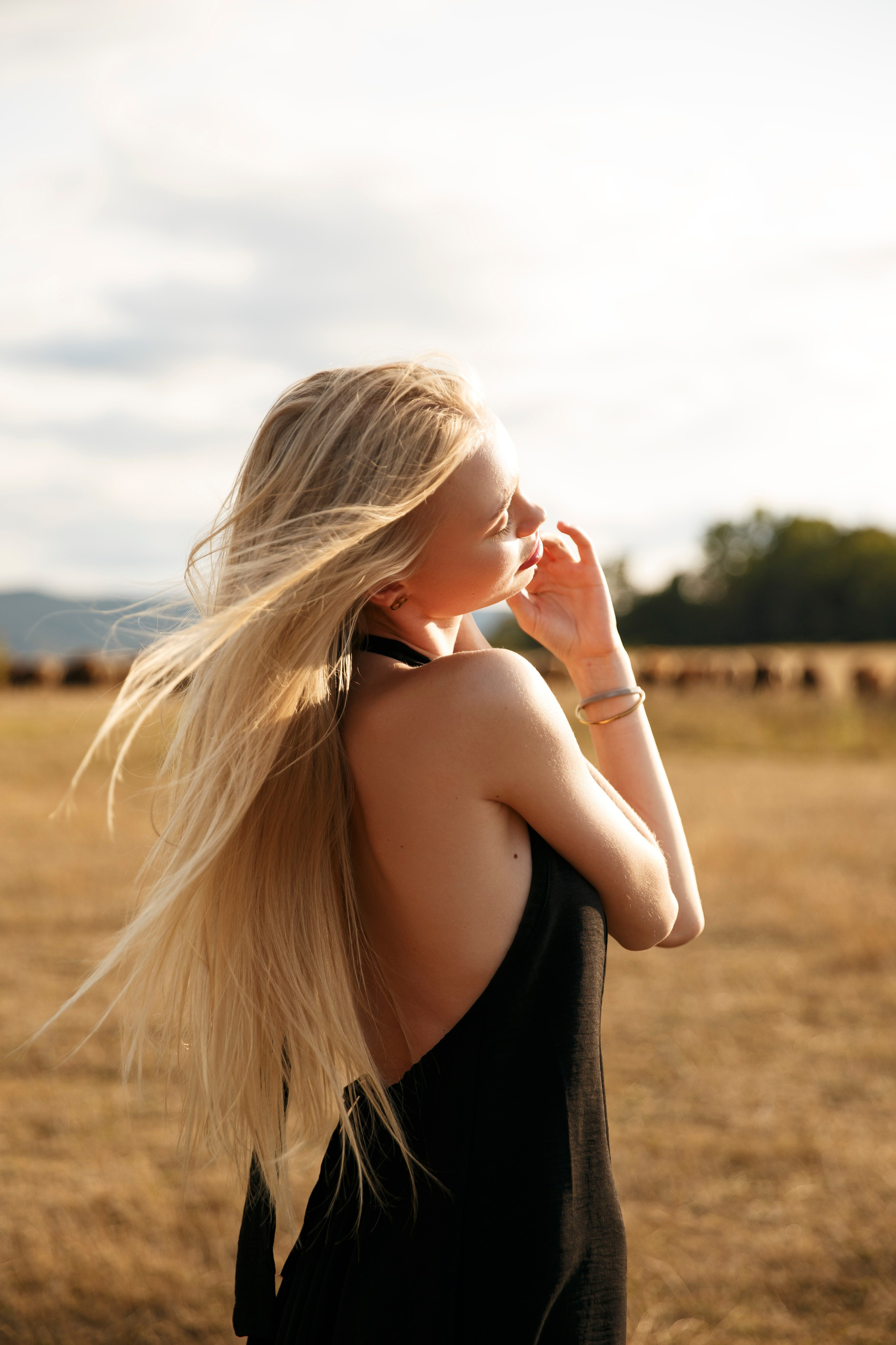 Lovestory с лошадьми