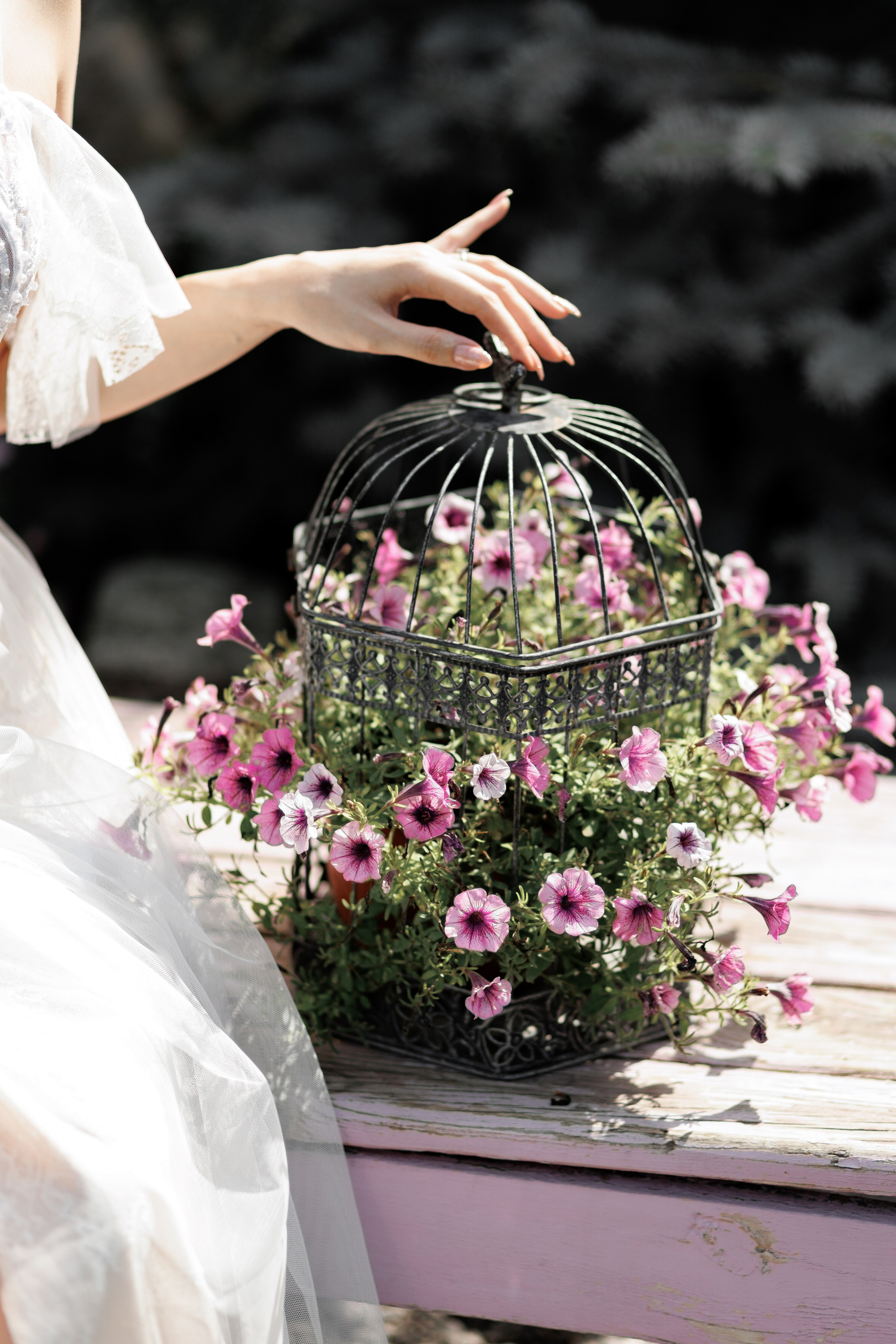 Татьяна и Илья. Щетинина Наталья свадебный фотограф Барнаул