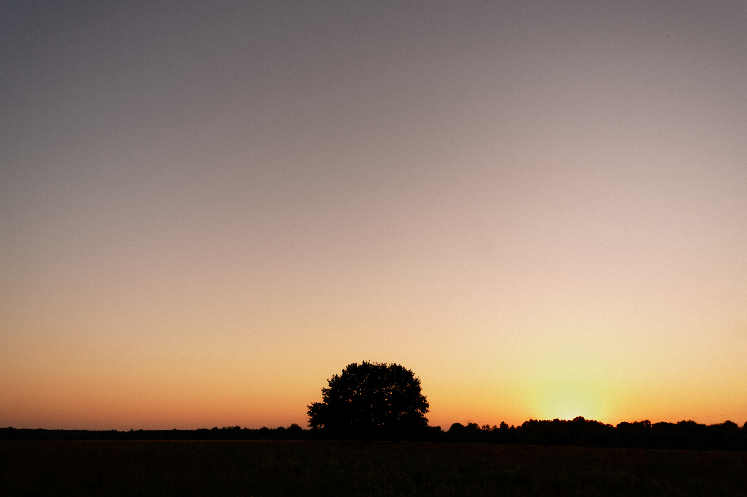 Галина и Виктор. Фотограф Николай Павленко в Гомеле