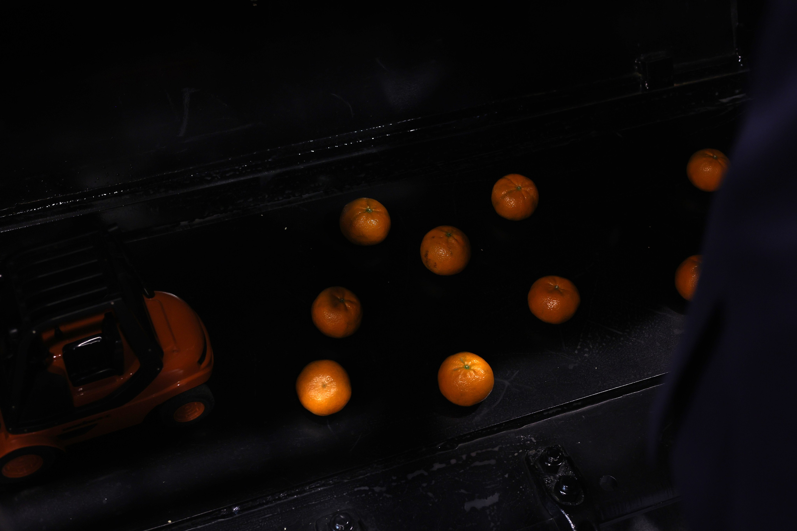 ЭКСПО. Mintonov's Film Studio