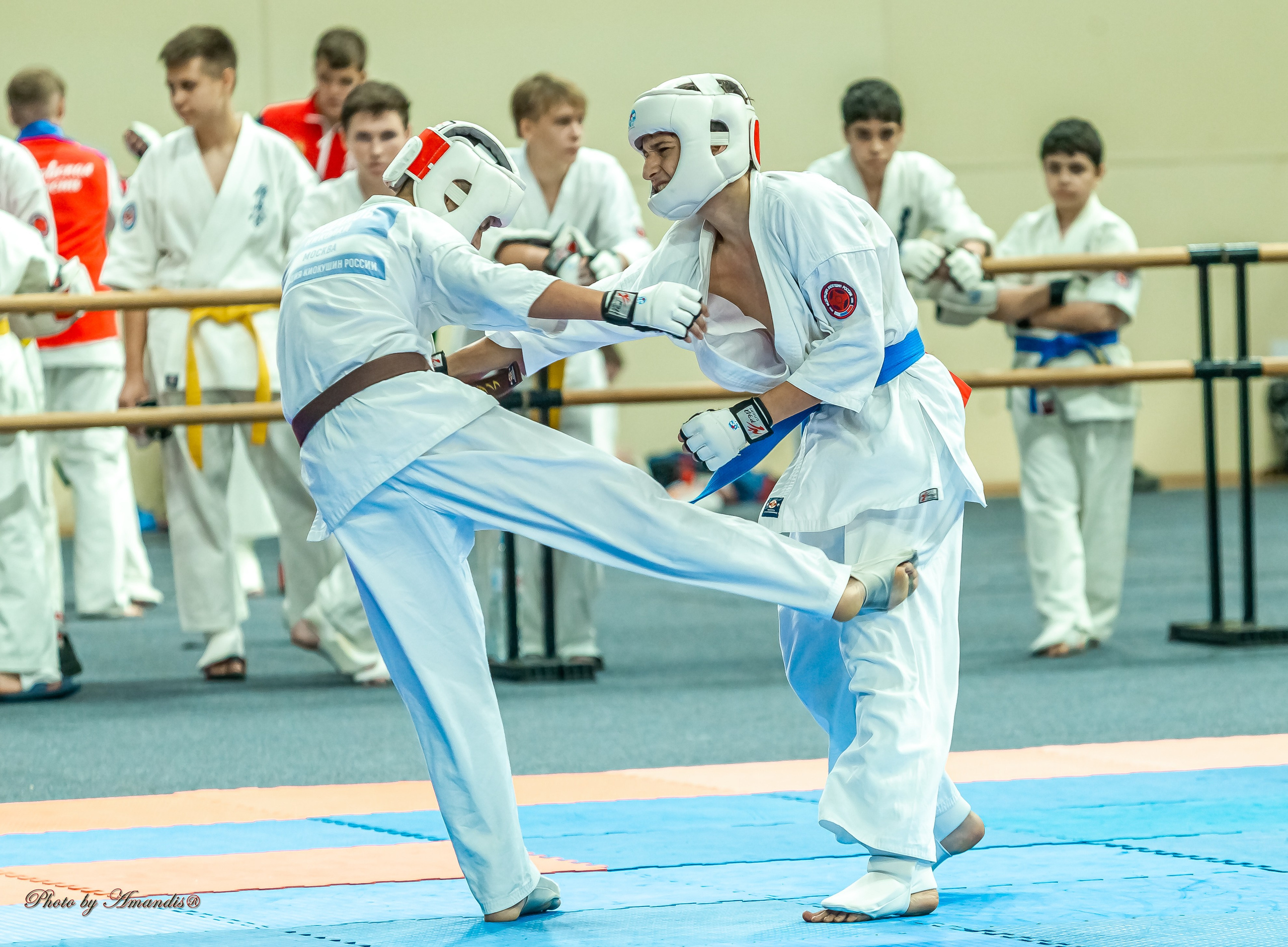 Первенство Московской области по Киокушин в СК «Жаворонки». Репортажная съемка в Москве и области. Анималистика