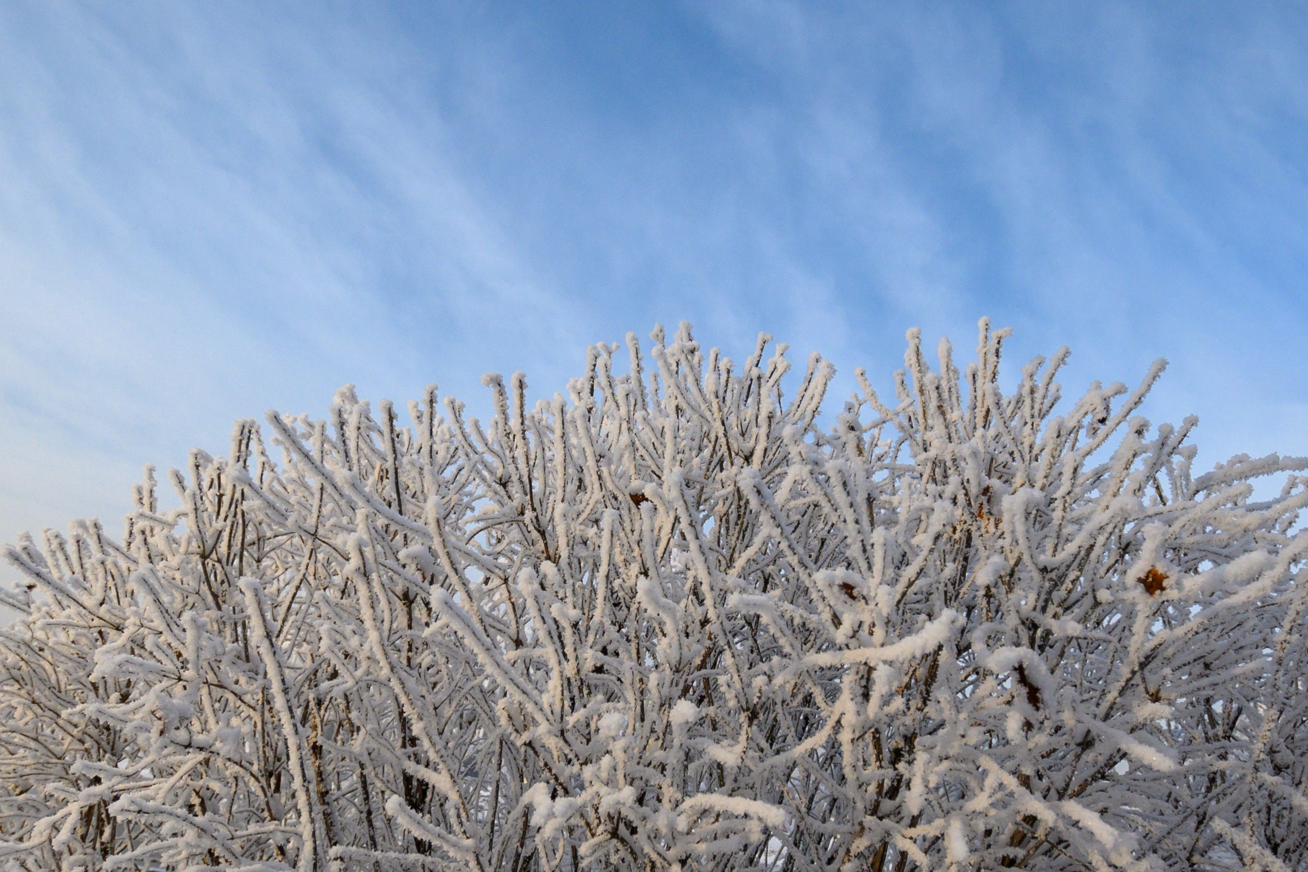 Сибирская зима прекрасна!. FotoGraf