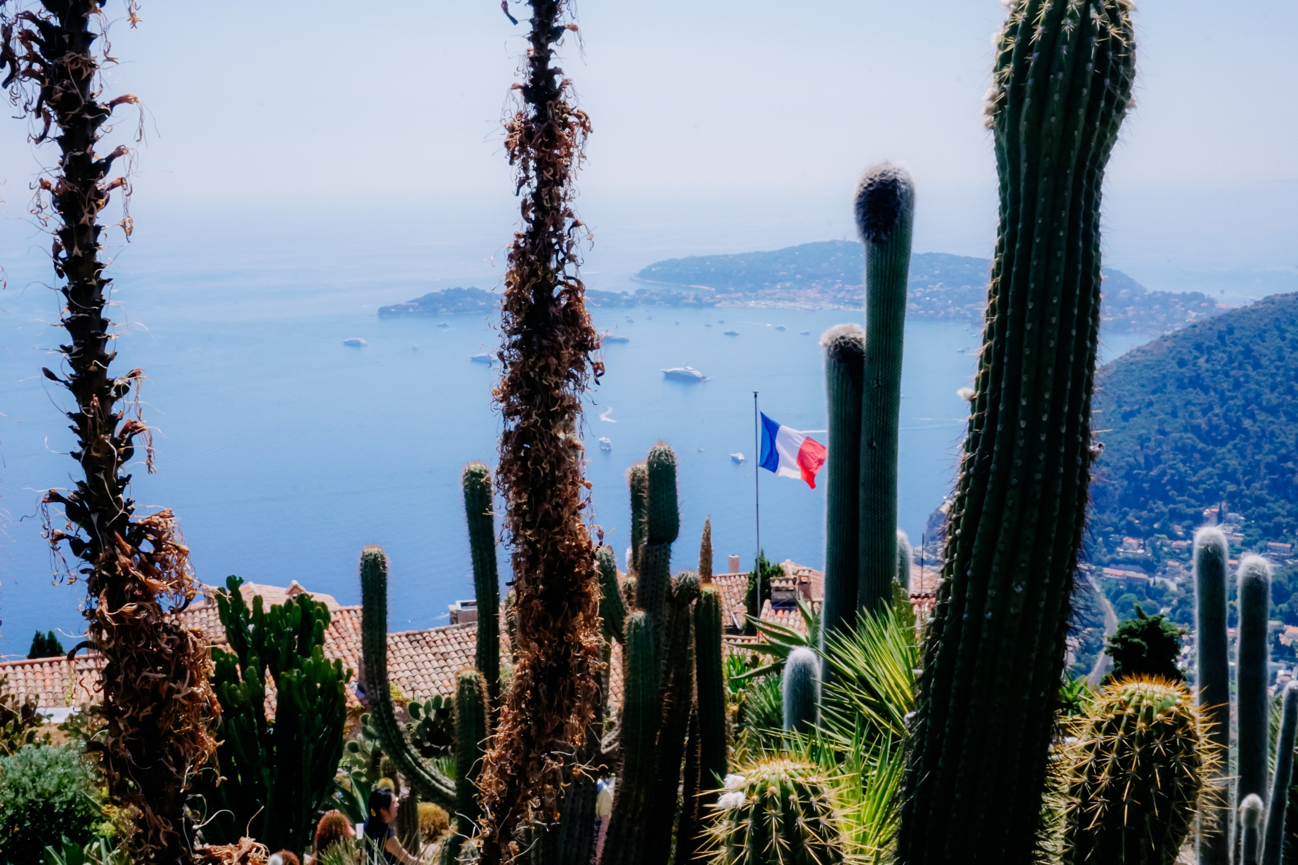 Ницца стрит. Iraogo