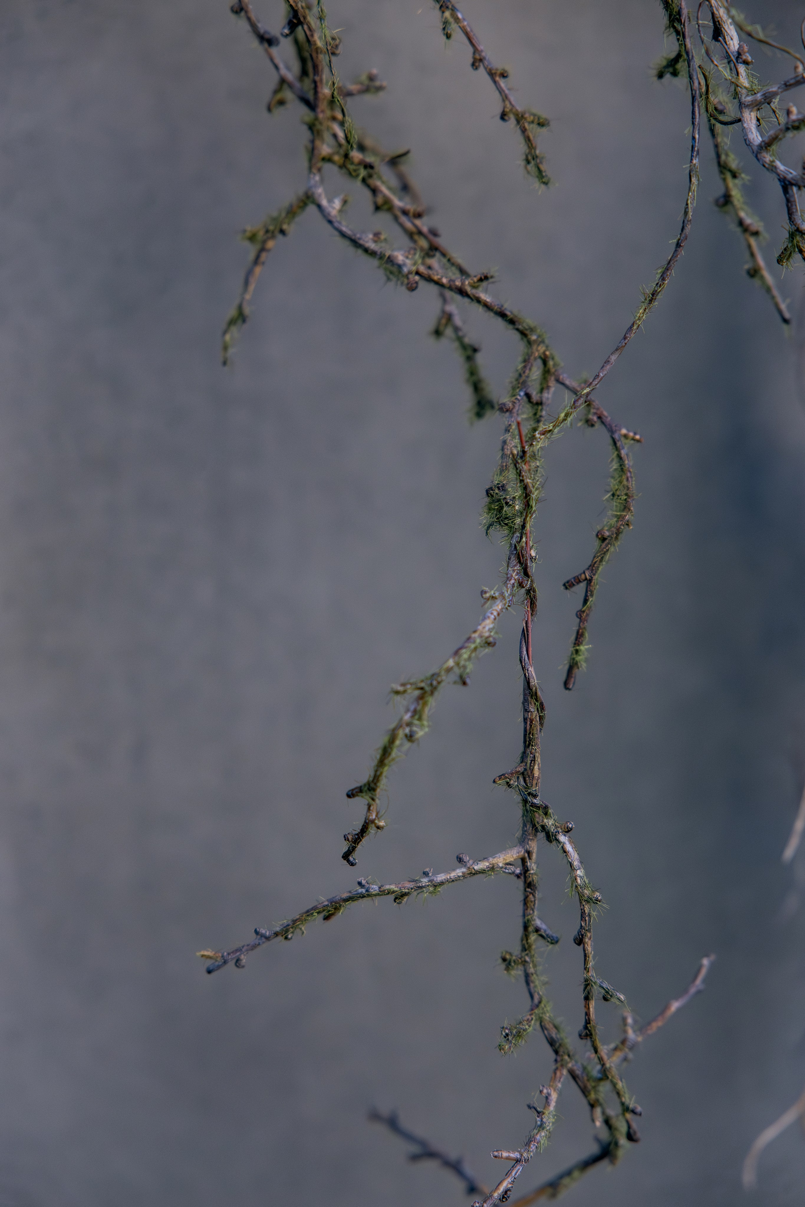 Небо над Енисеем. Фотограф в Красноярске