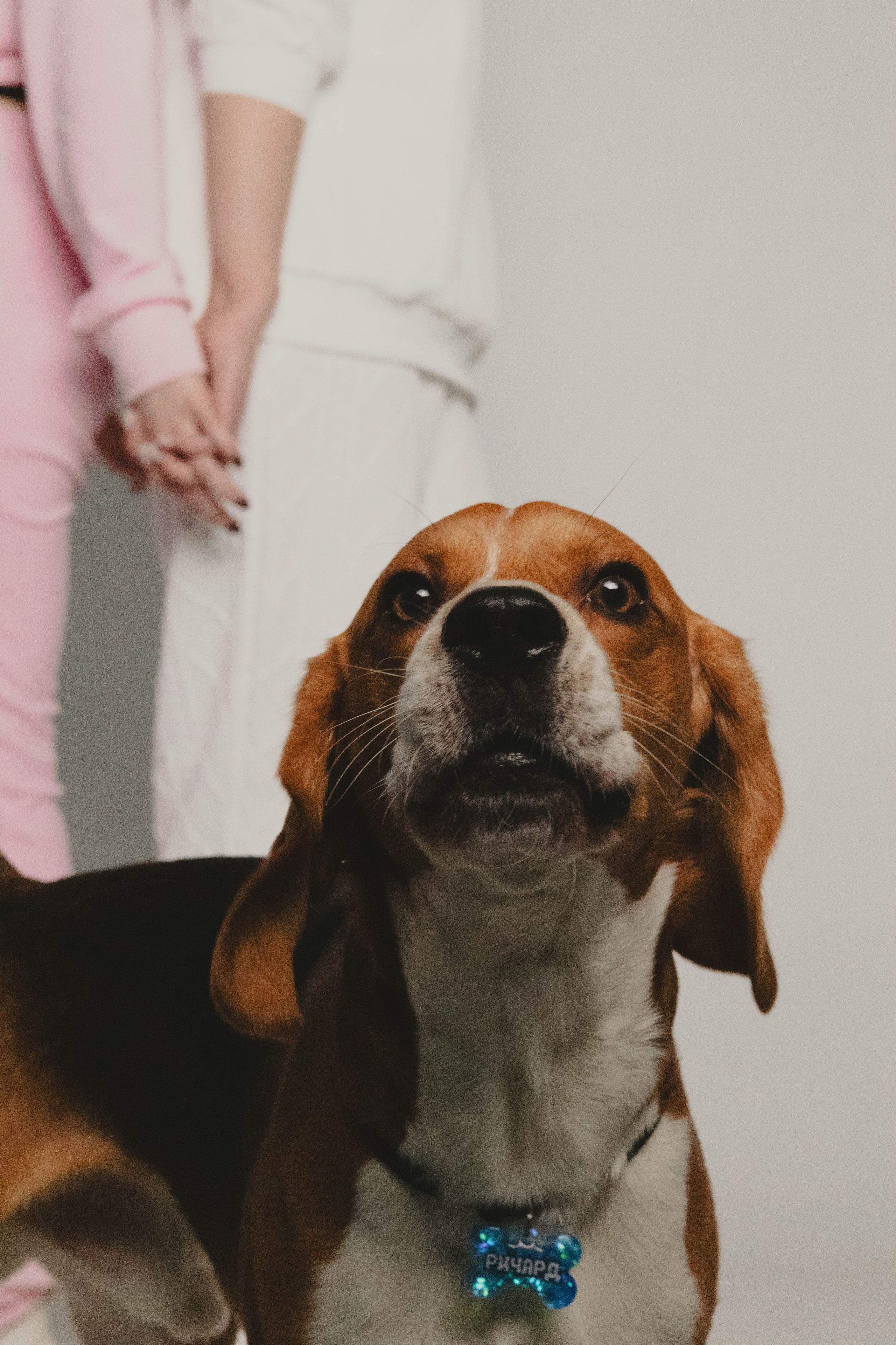 Семейная. Портретный фотограф в Санкт-Петербурге Кирилл Сафаров
