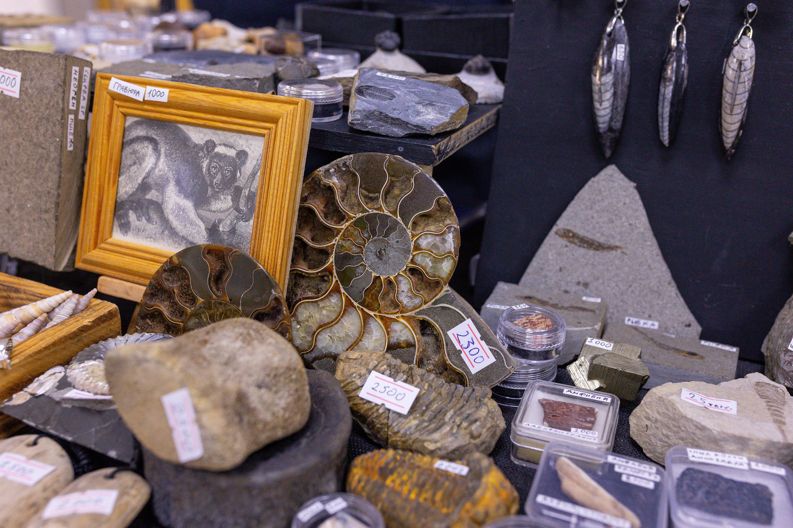 Монстериум 11–12 октября. Александра Куликова фотограф, Москва