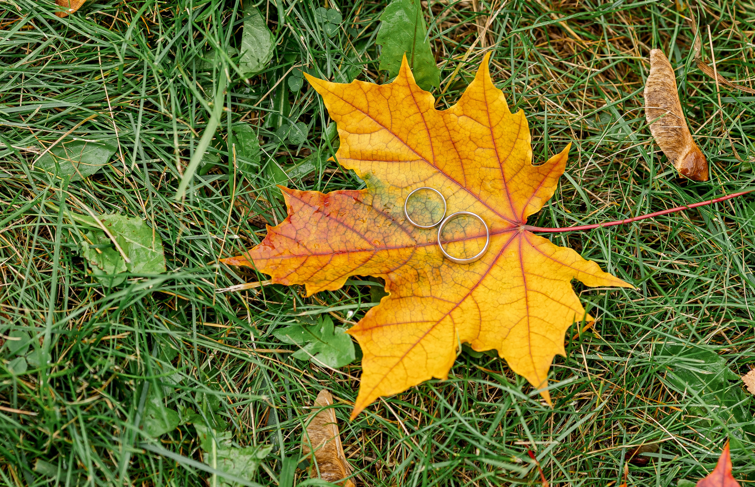 Свадьба Екатерина и Александр. Свадебный и семейный фотограф в Челябинске Юлия Ишимова