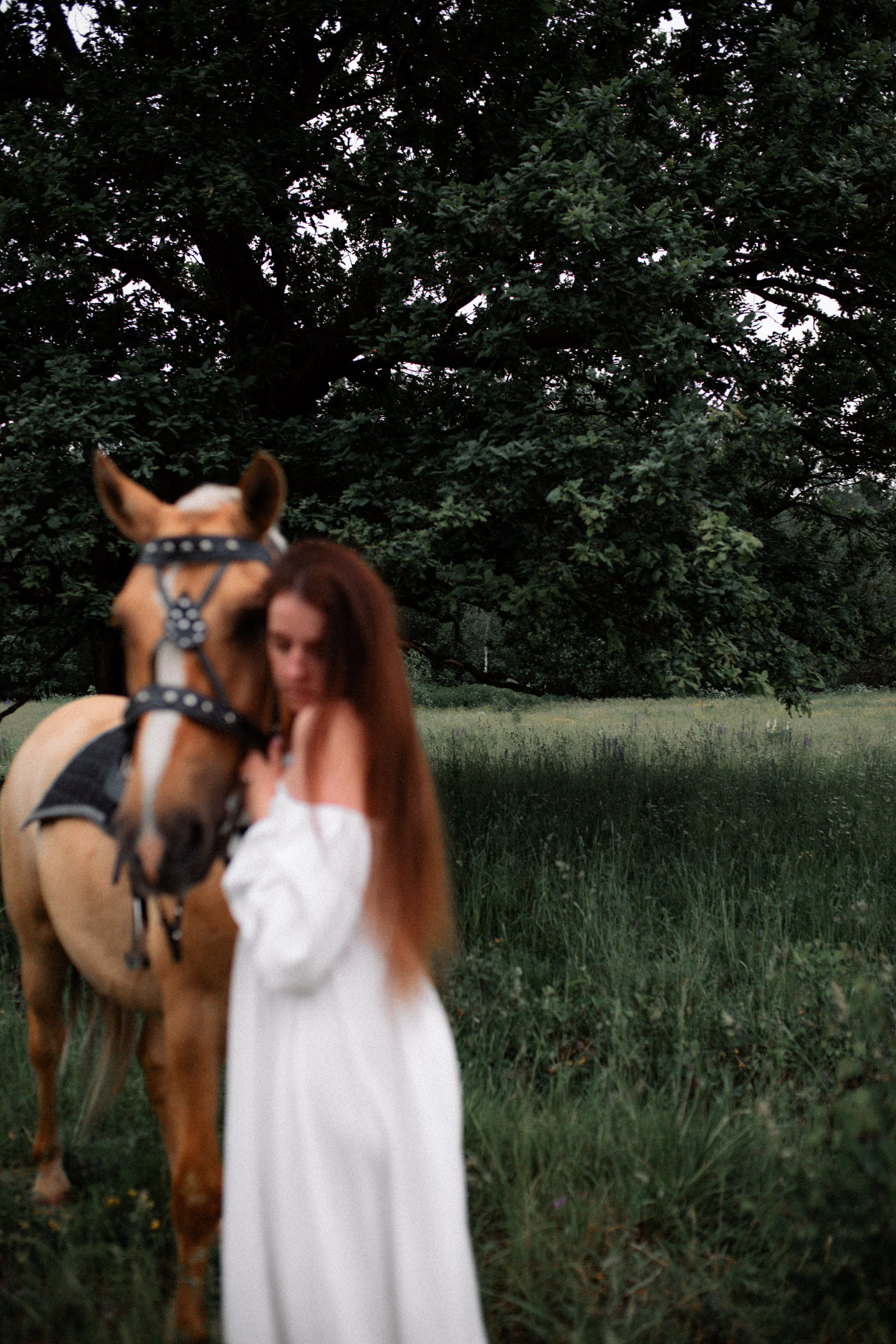 Анюта и Эверест