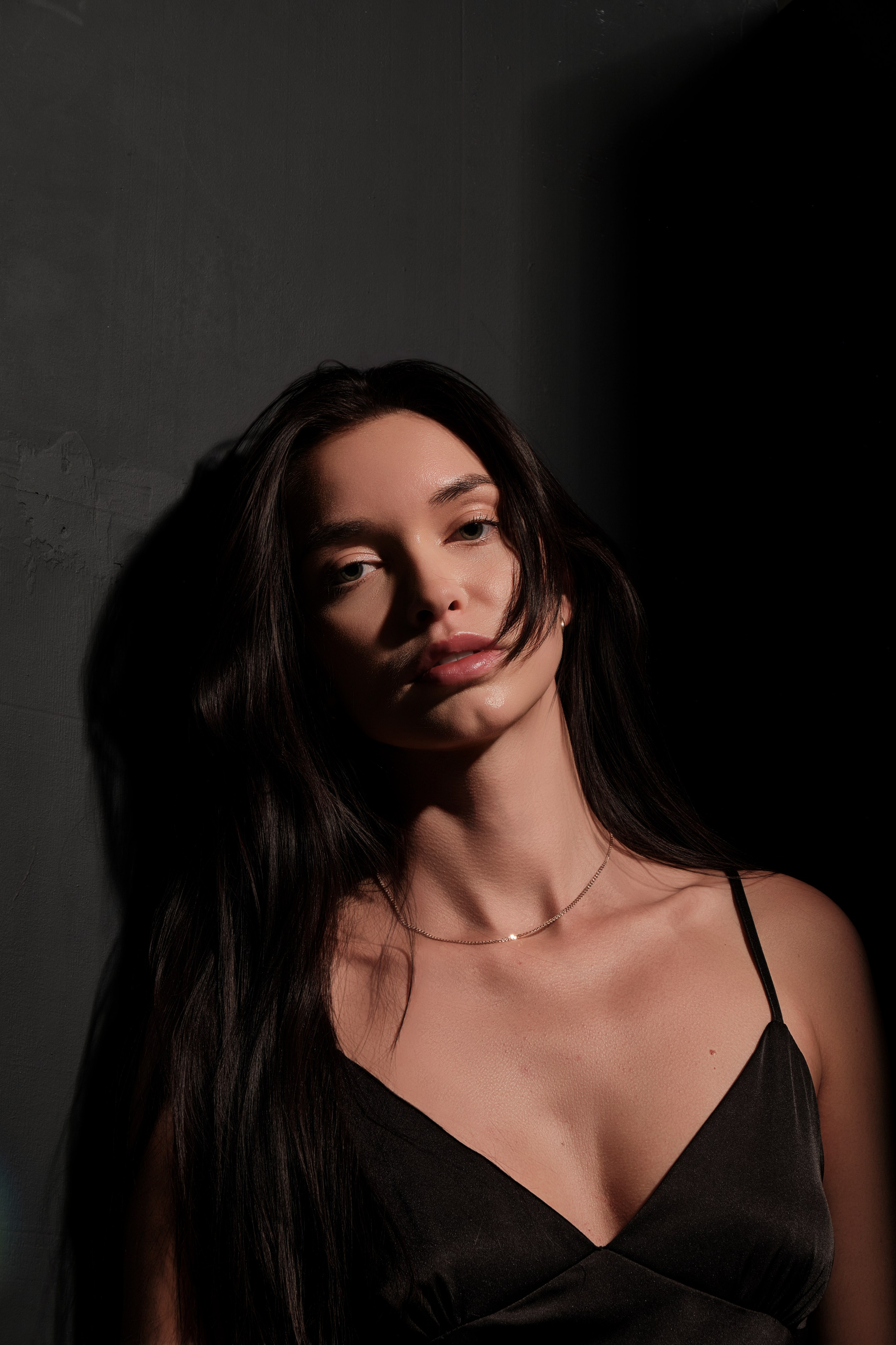 LISA. Главная