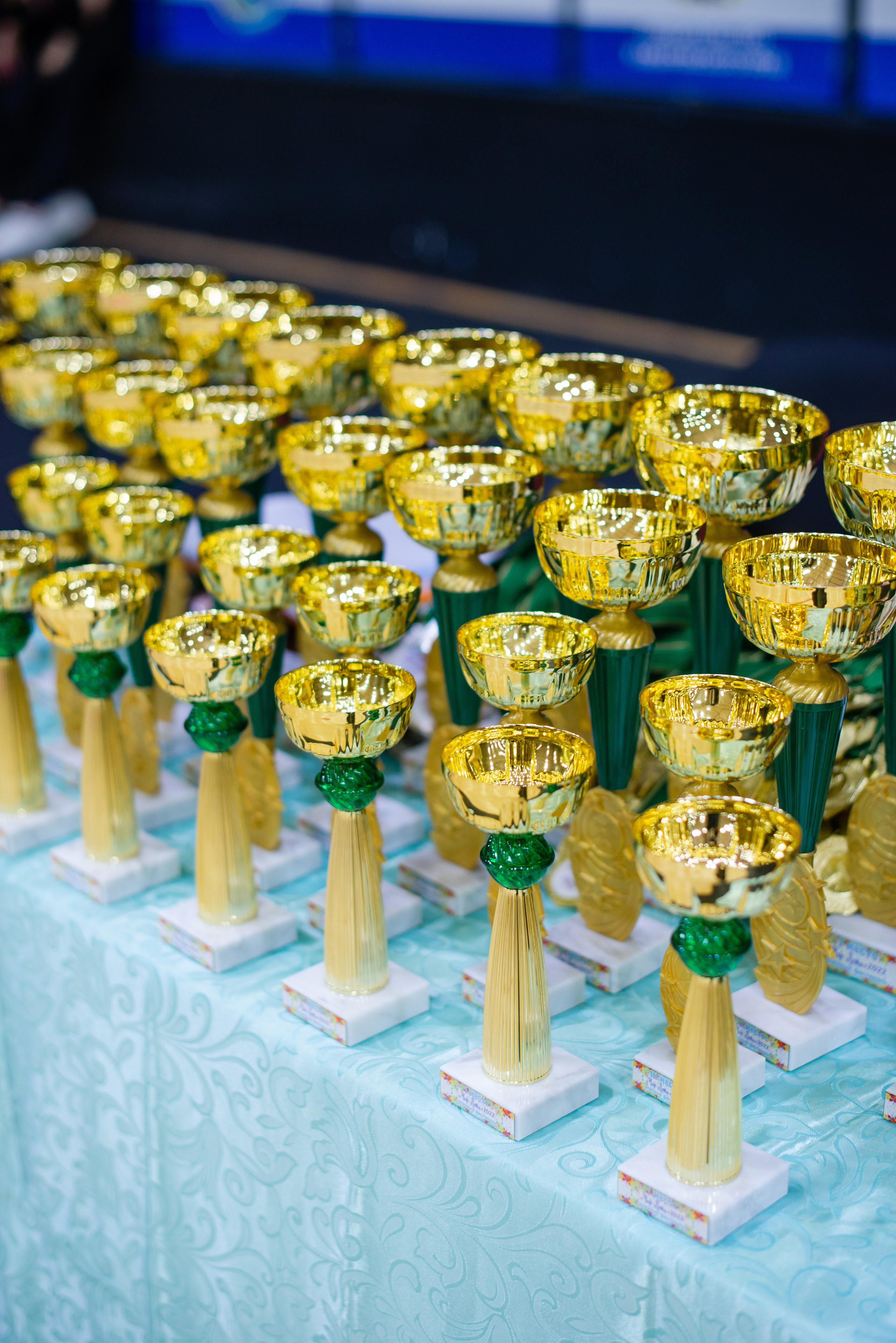 Отзывы. Семейный и детский фотограф в Хабаровске Матюшкова Екатерина