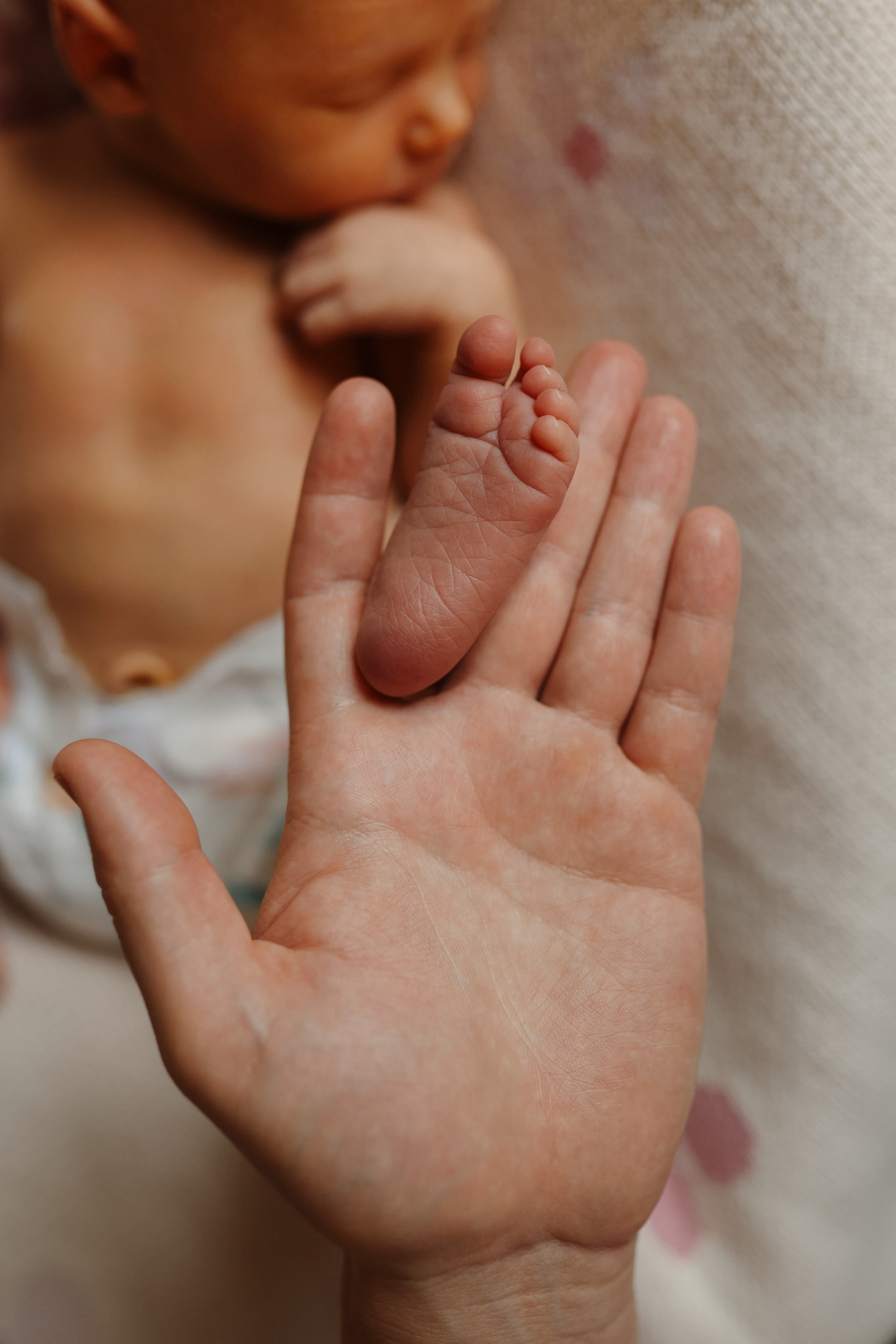 Первые дни дома🤍. Фотограф на роды в Санкт-Петербурге, семейный, нью-борн Алиса Хрекова