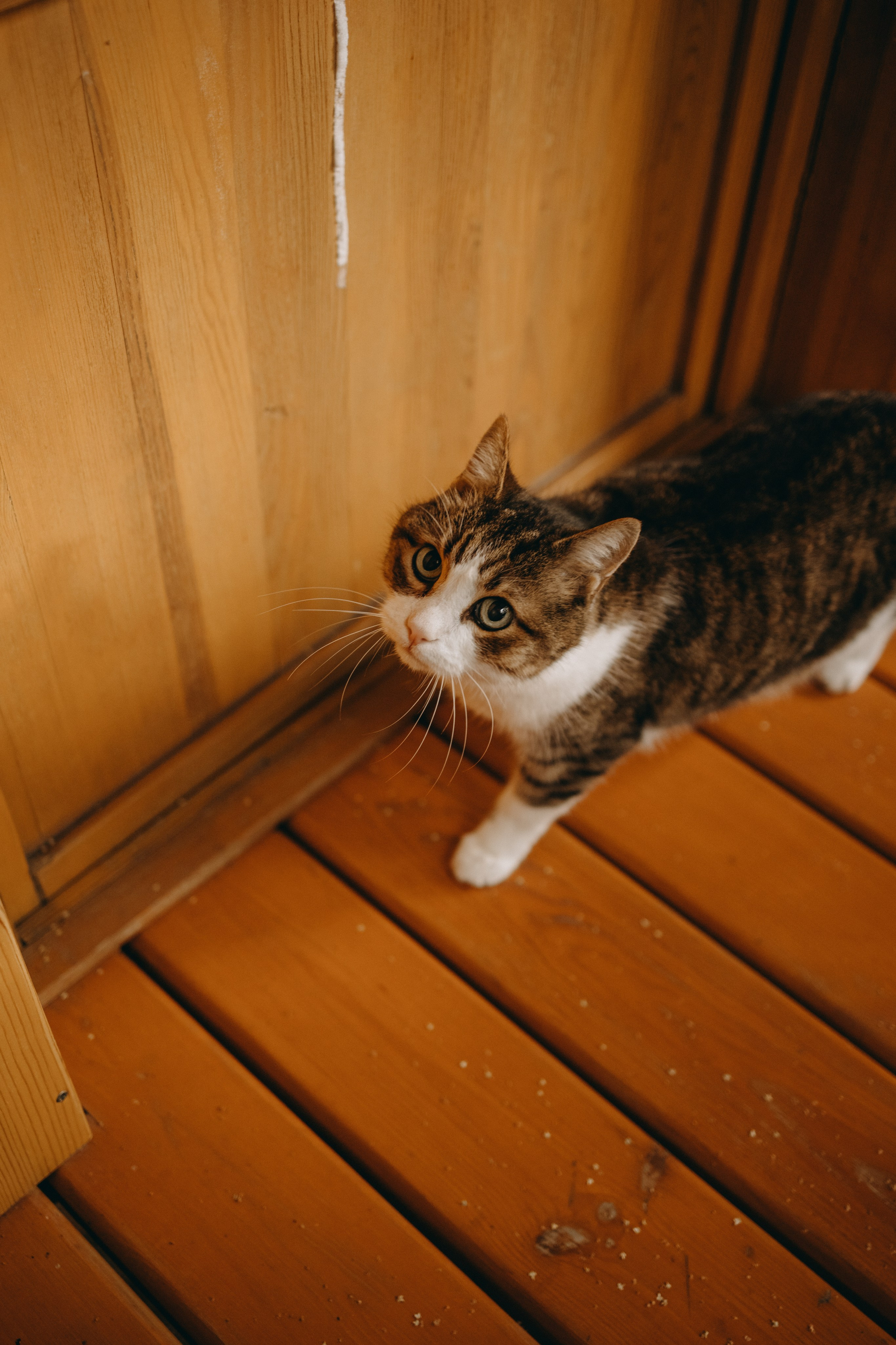 Дом у реки. Фотограф — Анималист | Санкт-Петербург