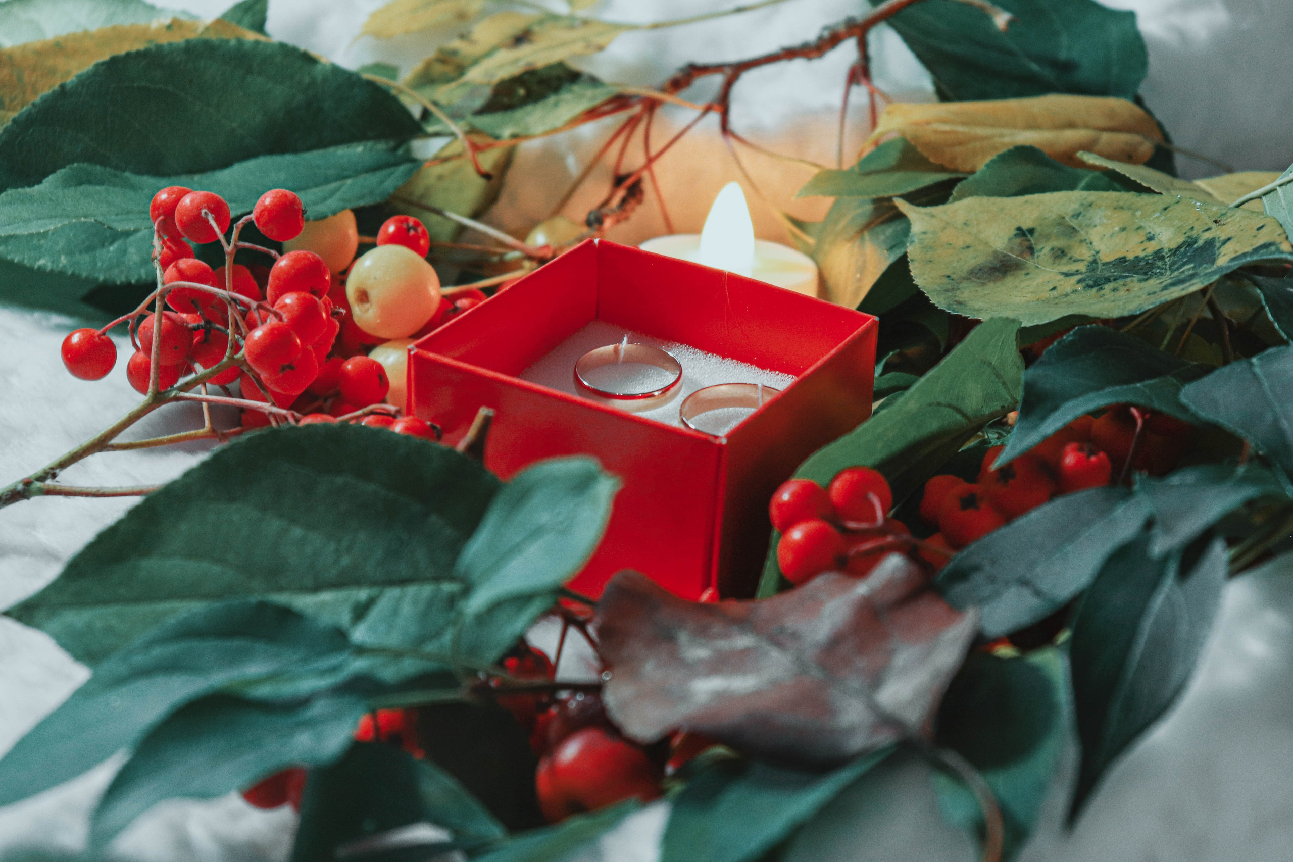 Свадебная фотосессия Томск. Свадебная фотосъёмка Томск. Фотограф в Томске Дарья Пучкина