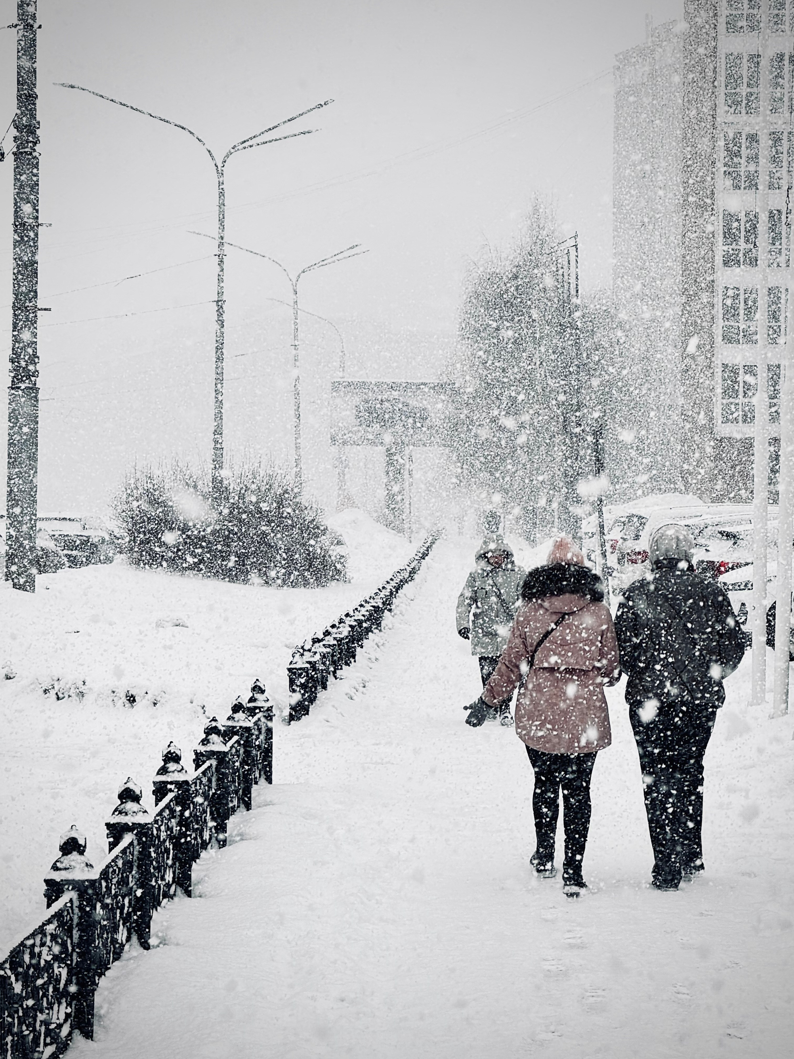 Новокузнецк. Фотограф в Новокузнецке
