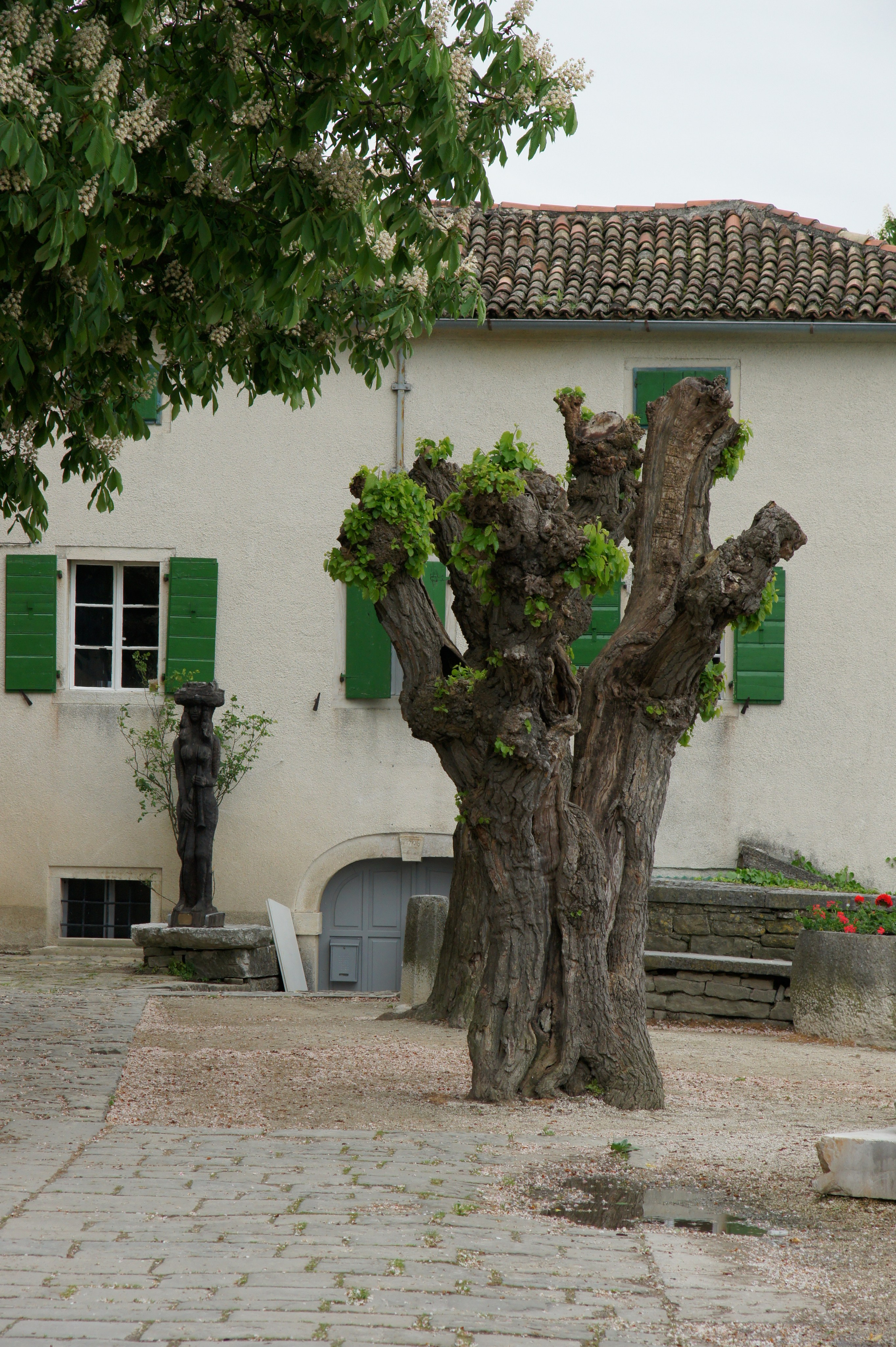 Хорватия. Главная