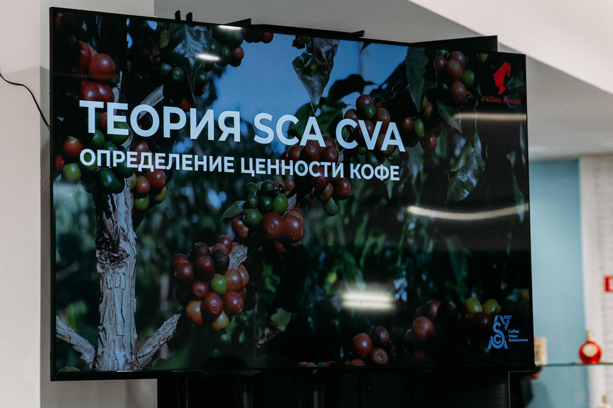 Чемпионат для бариста от Julius Meinl 2025. Фотограф в Иркутске Евгения Айвазова