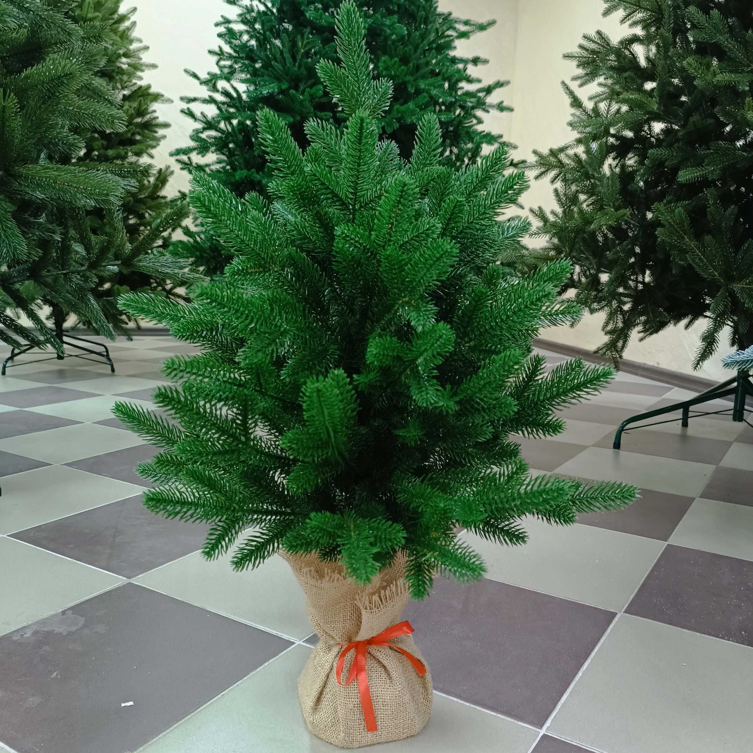 Маленькие ёлочки. Elki_grodno