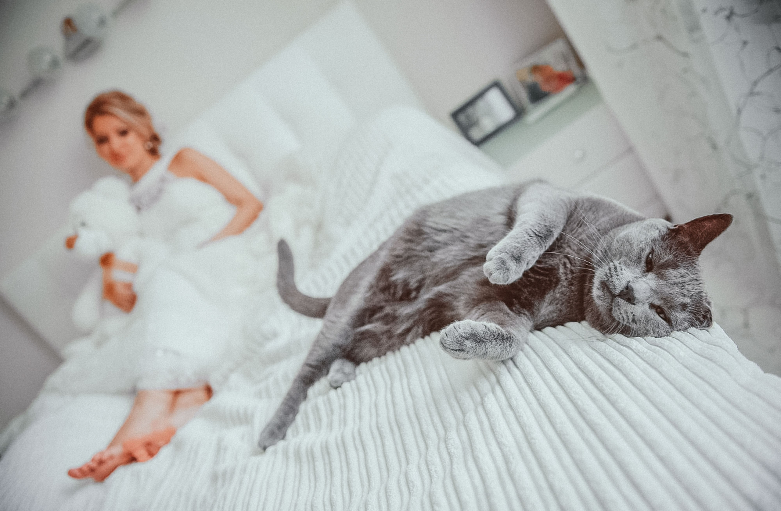 Свадьбы. Живые снимки! Фотограф Даша Бендер