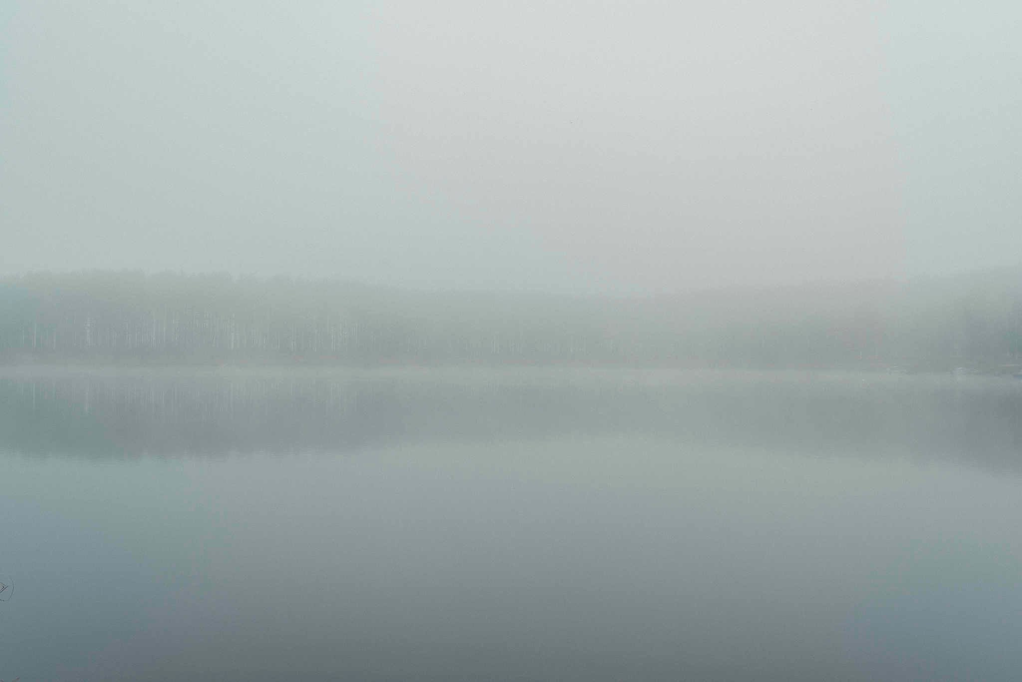 Фотограф Михаил Мордасов. 18 лет работы профессиональным фотографом. Репортажный фотограф в Сочи — Михаил Мордасов