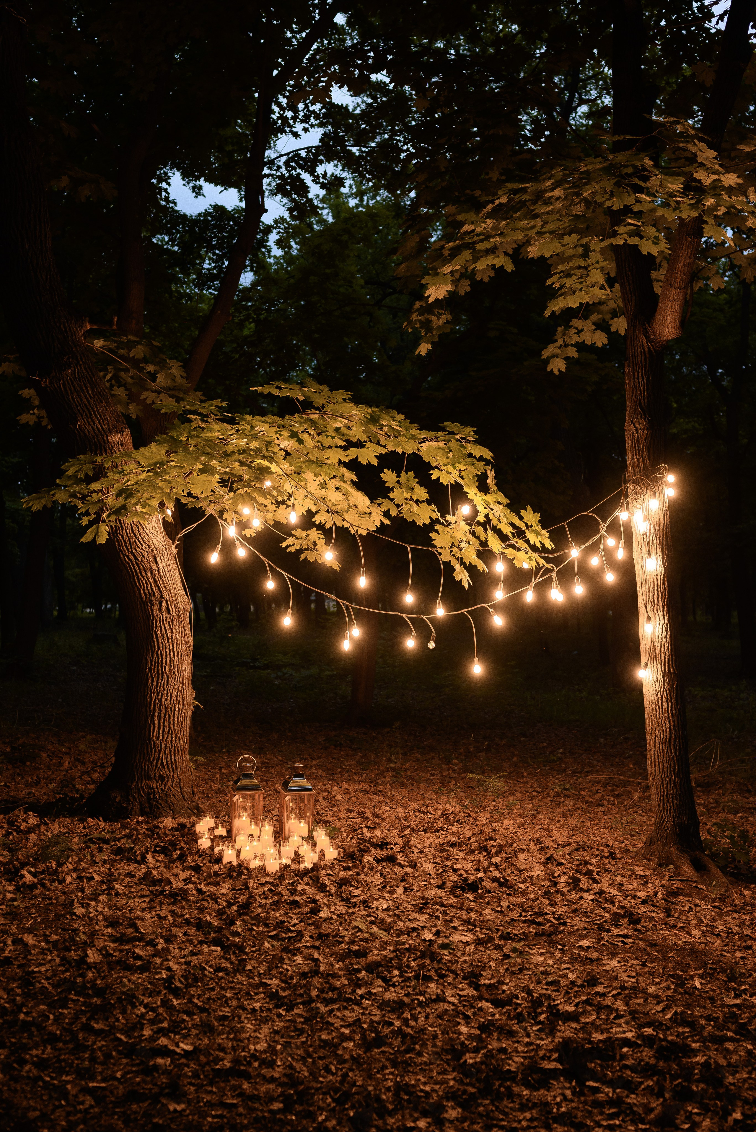 Максим и Алена. Свадебный фотограф Евгения Наумовец