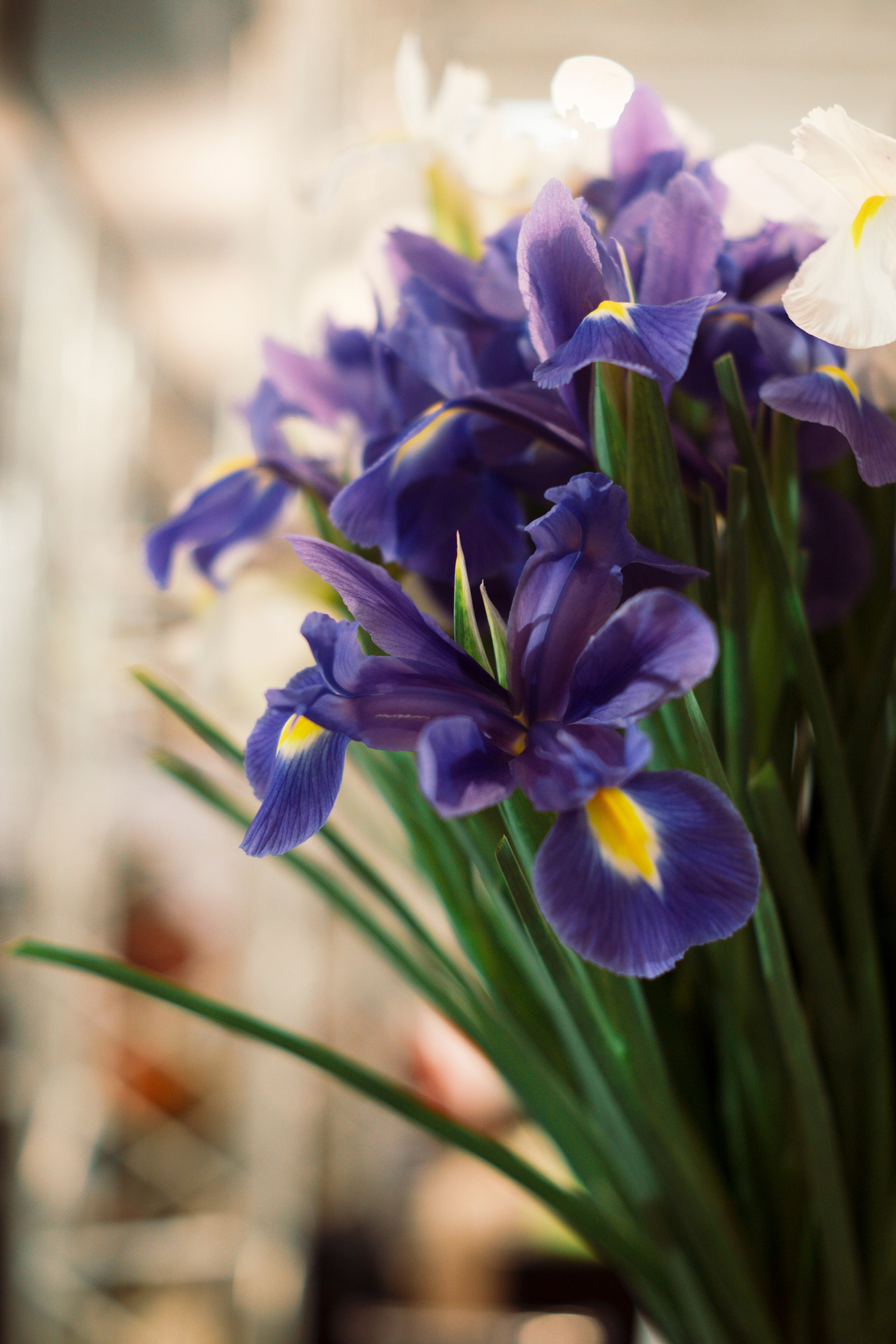 Fashion Week 2025. Свадебный фотограф в Москве Кристина Чехова