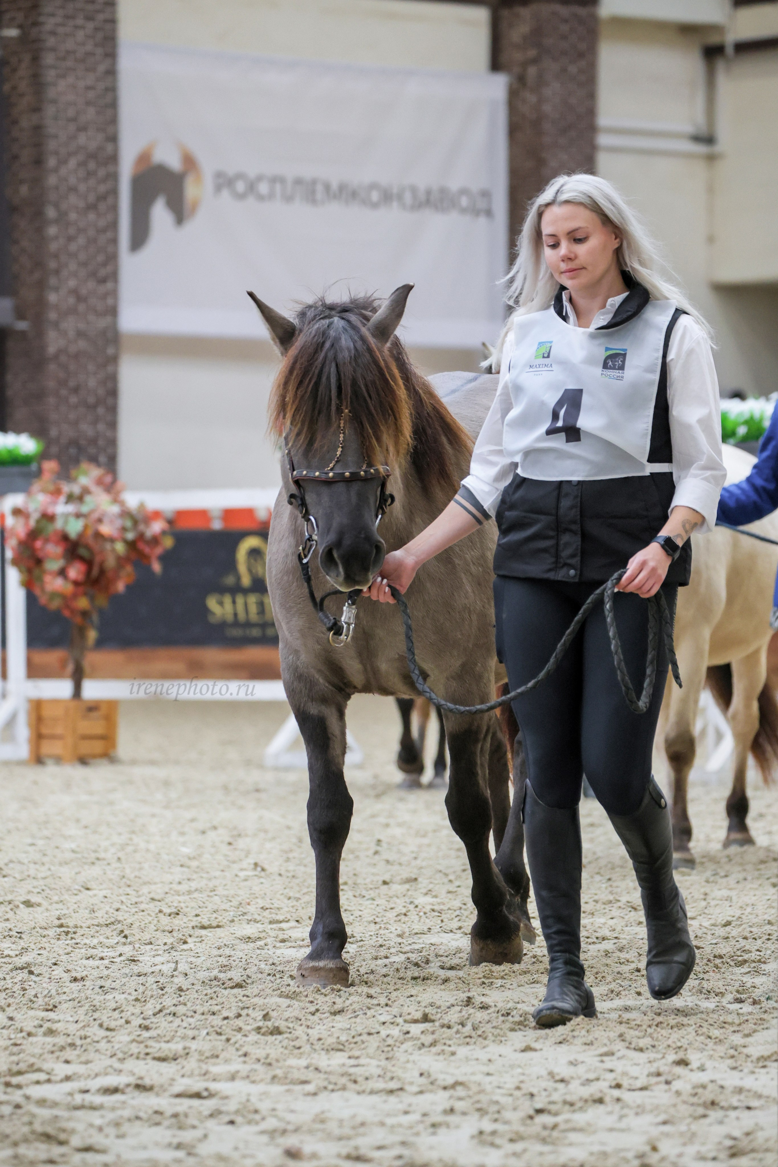 Конная Россия 2024. Irenephoto.ru