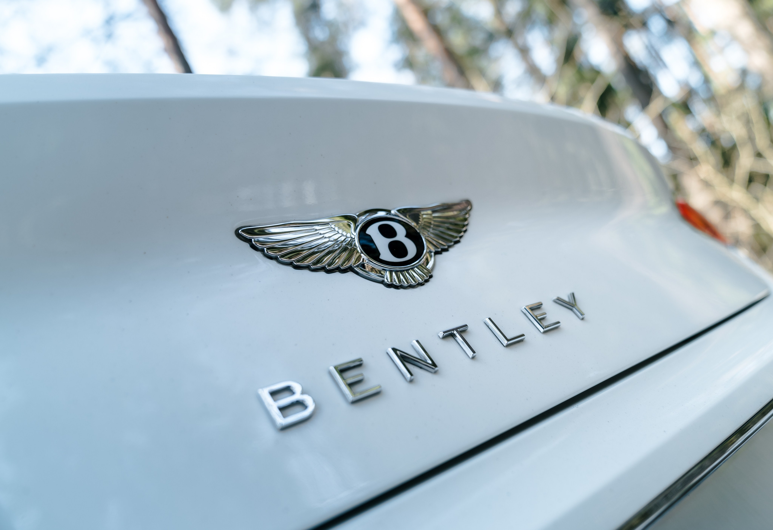 BENTLEY CONTINENTAL. Opasnophoto