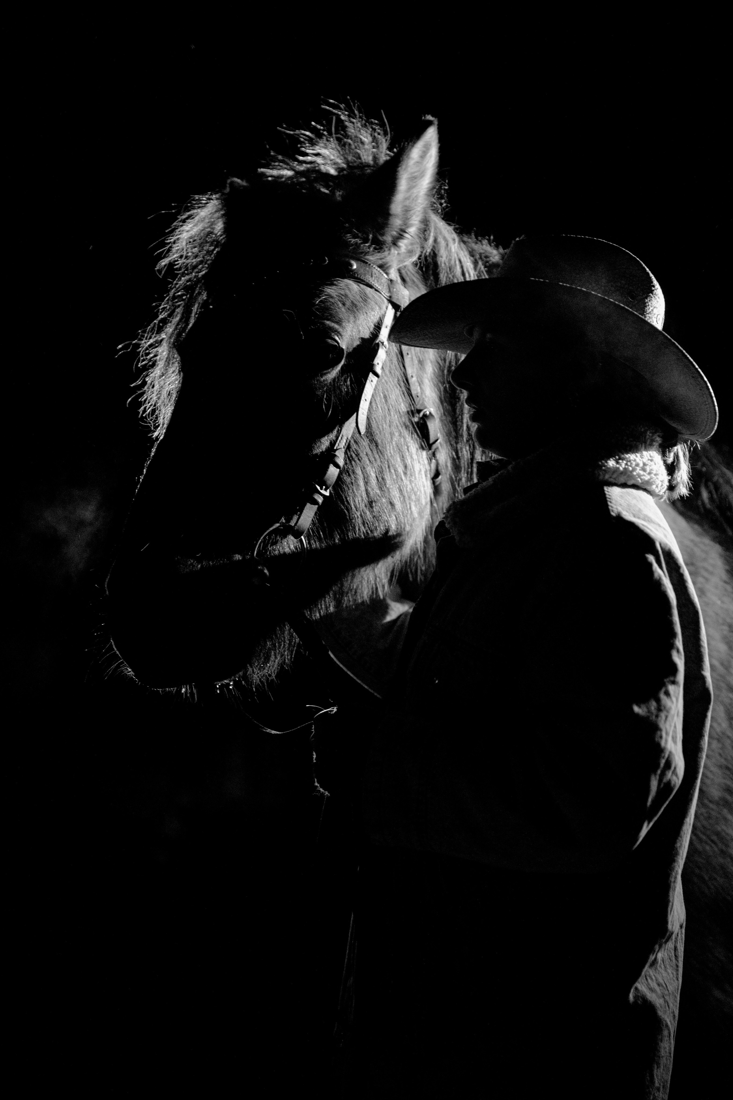 Фотосессии с лошадьми