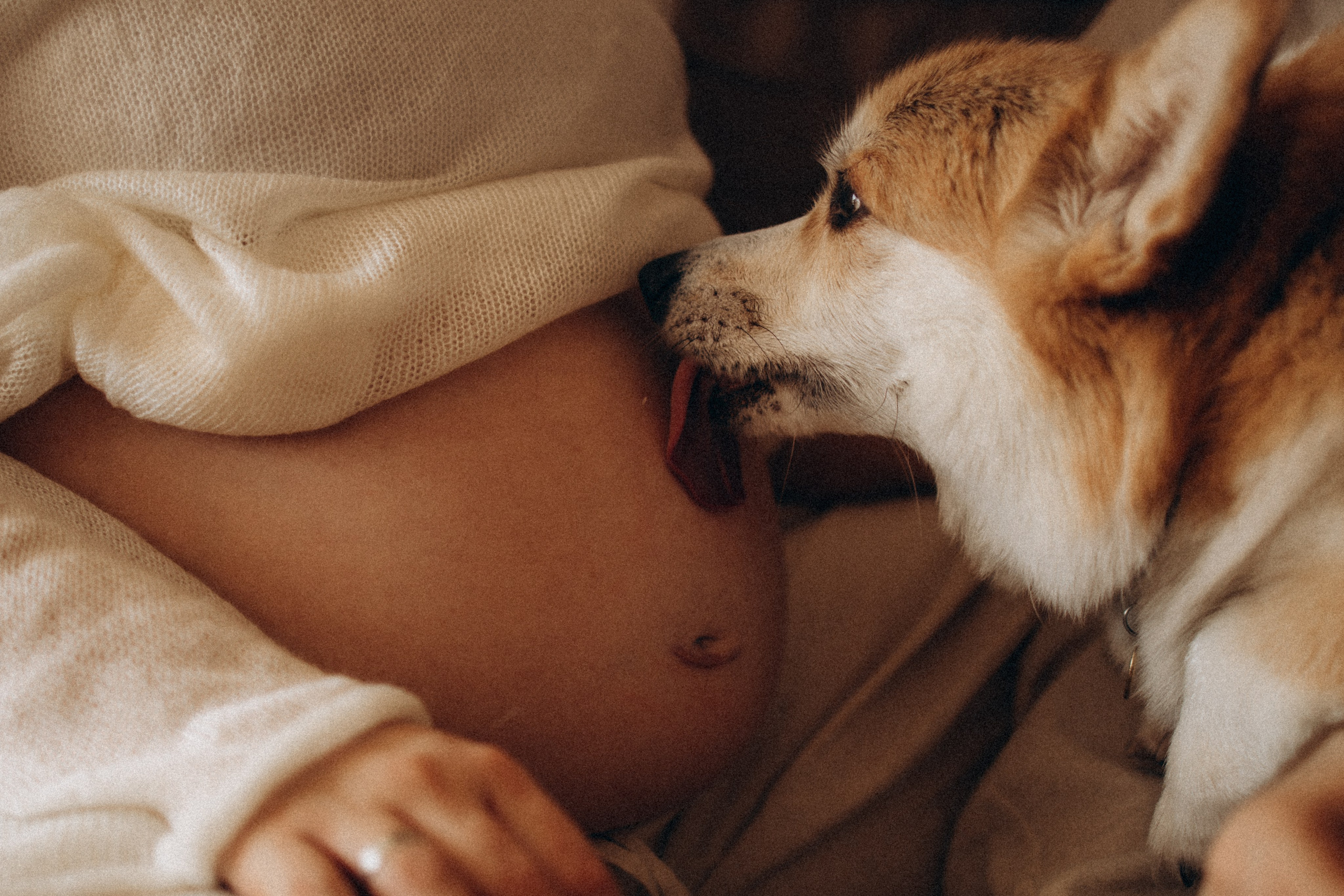 Фотосессия беременности в Москве. Семейный фотограф в Москве и Люберцах Юлия Гуськова