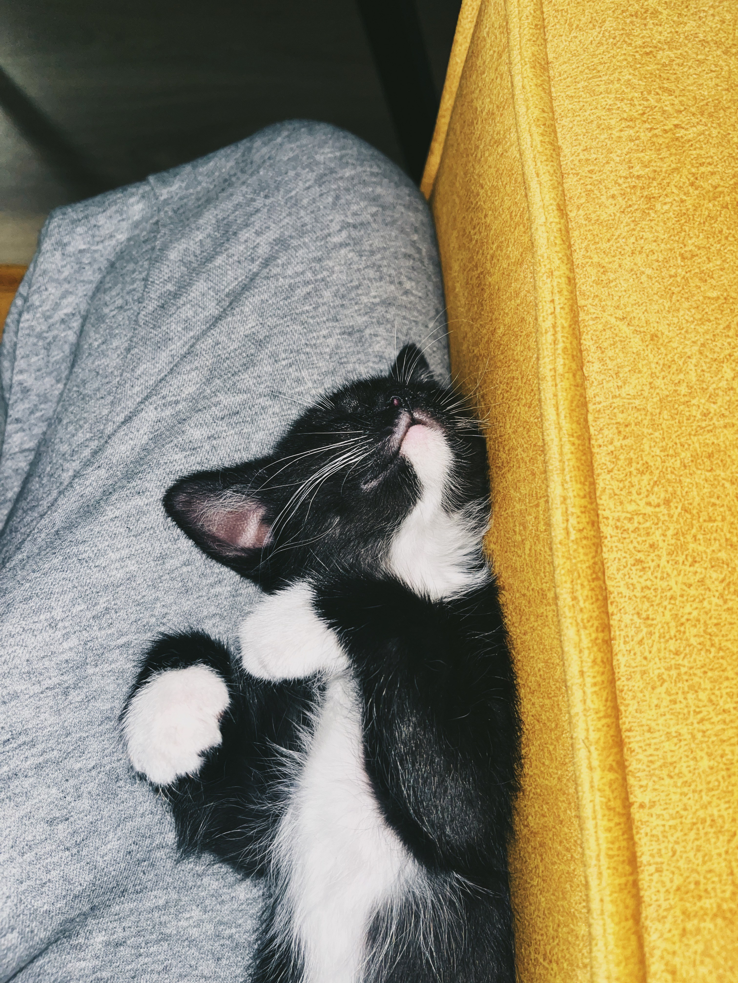 Визуальный дневник. Портретный фотограф в Москве Гахраманова Екатерина