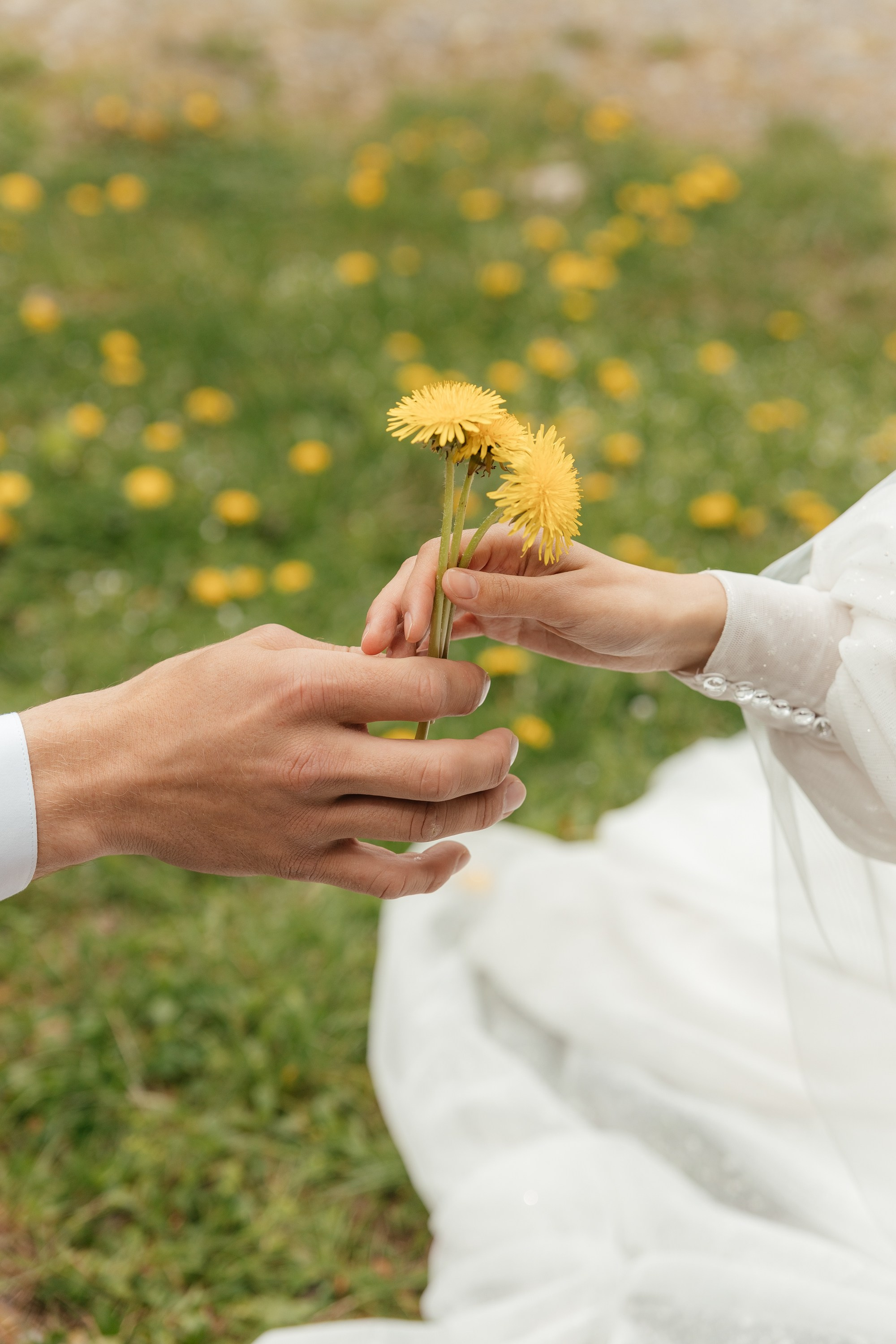 В&В * Домбай. Миленина Юлия Свадебный и семейный фотограф в Краснодаре