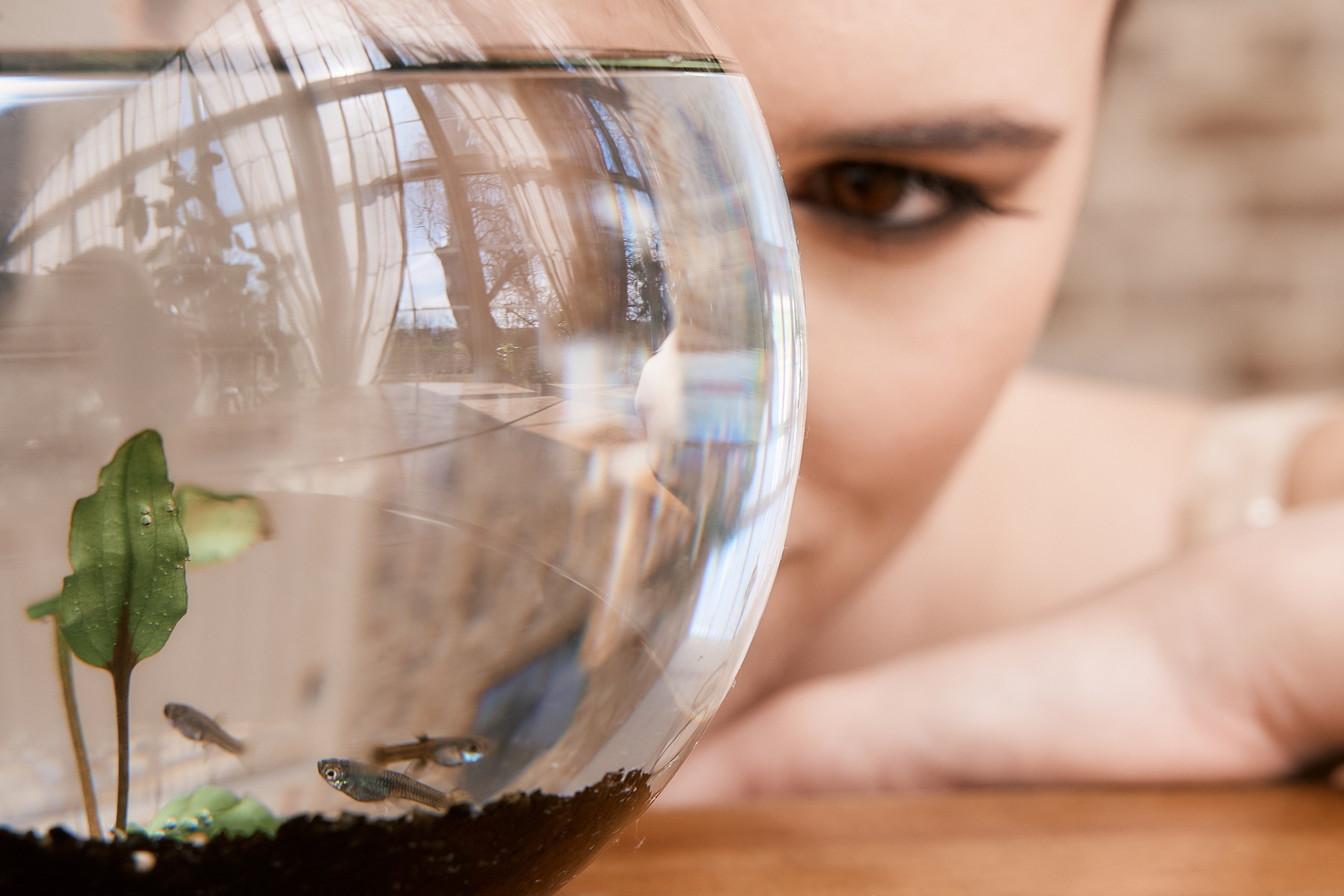 Портретная. Студийная. Арт фотография. Краснодар и Крым