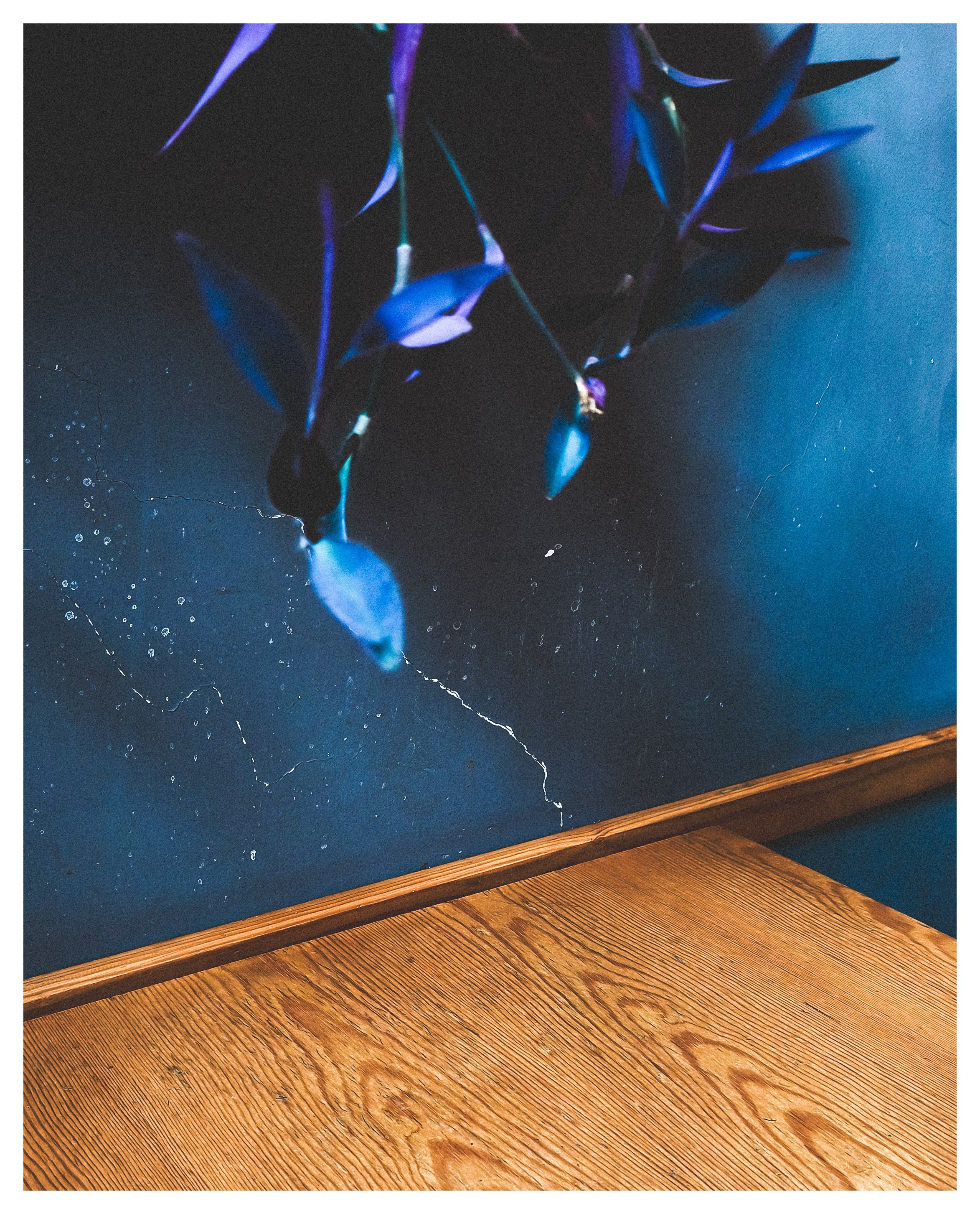 Мир повседневных Вещей. Репортажный и портретный фотограф, Влад Хафизов, Москва