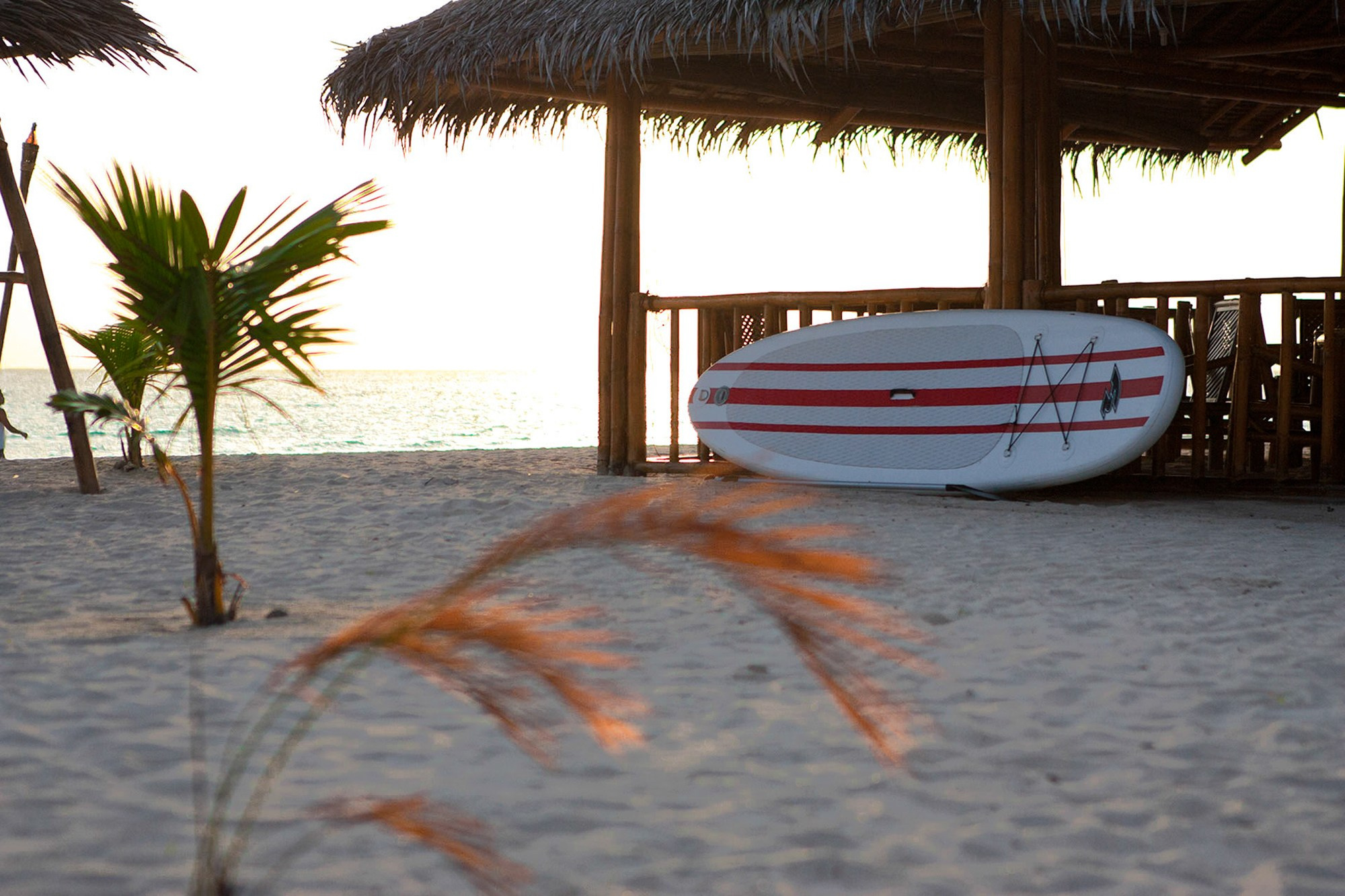 Фото и видео съемка мероприятия. Фото и видеосъемка