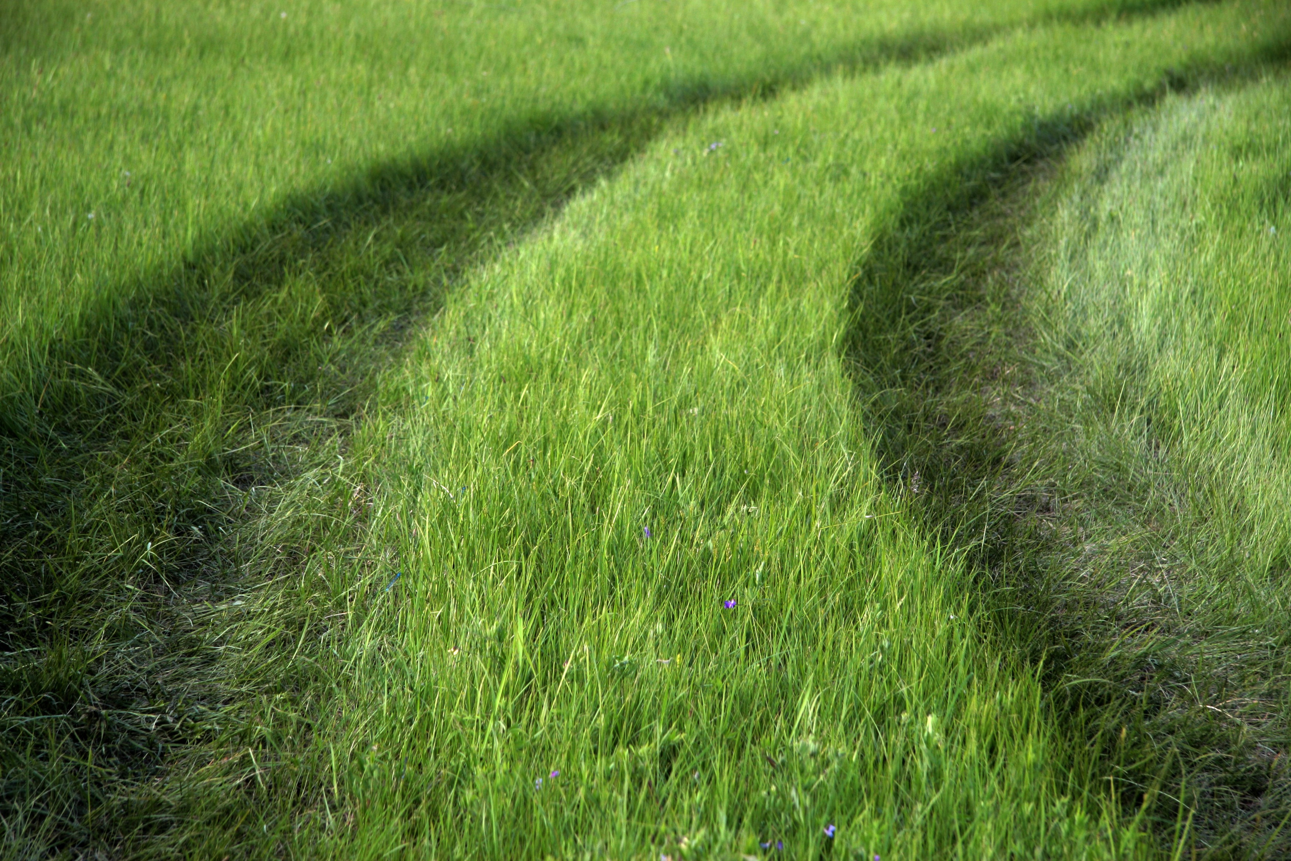 Фото Природы Забайкалья. Студия Максима Белослюдцева