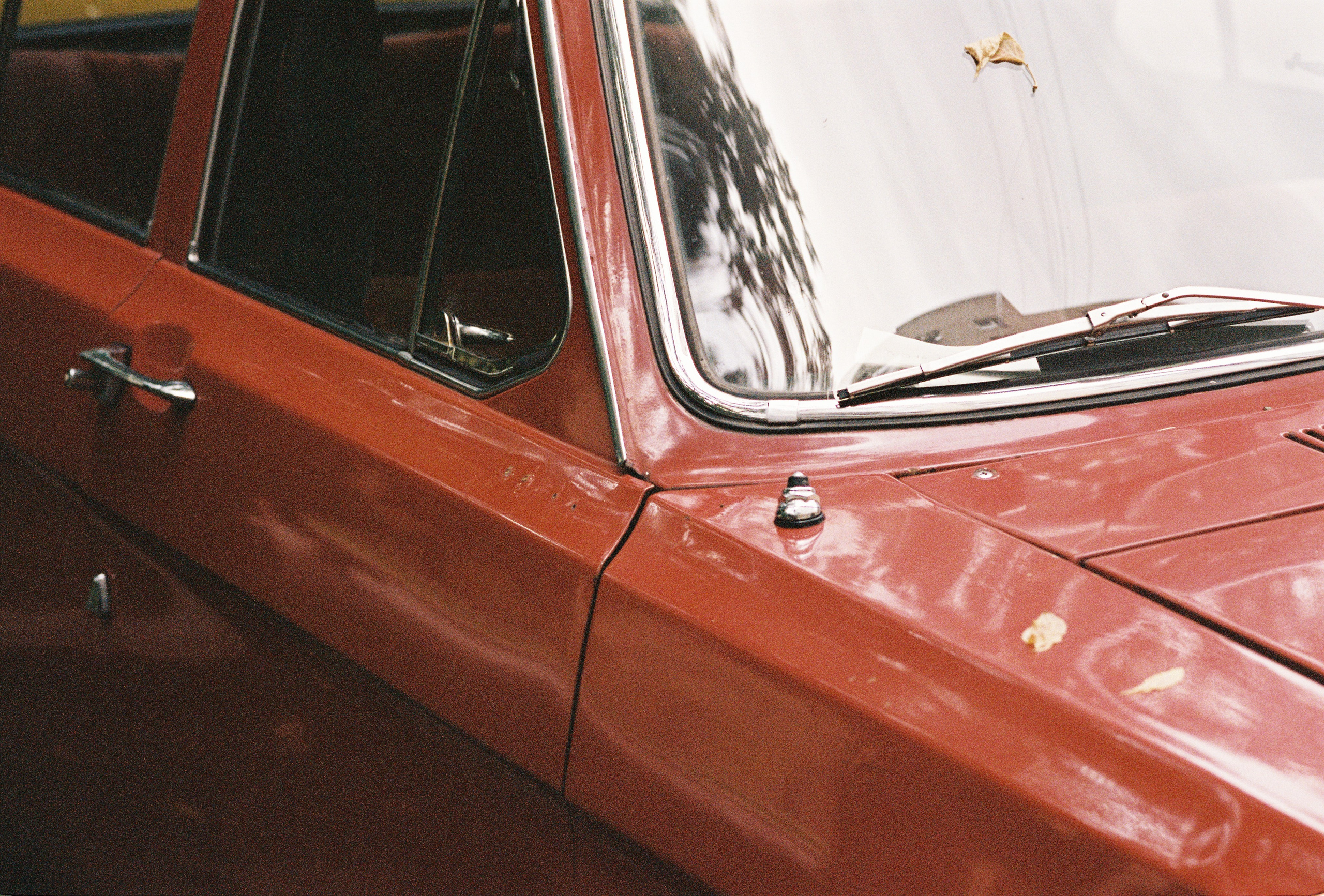 На меня так не смотрят. 35 mm
