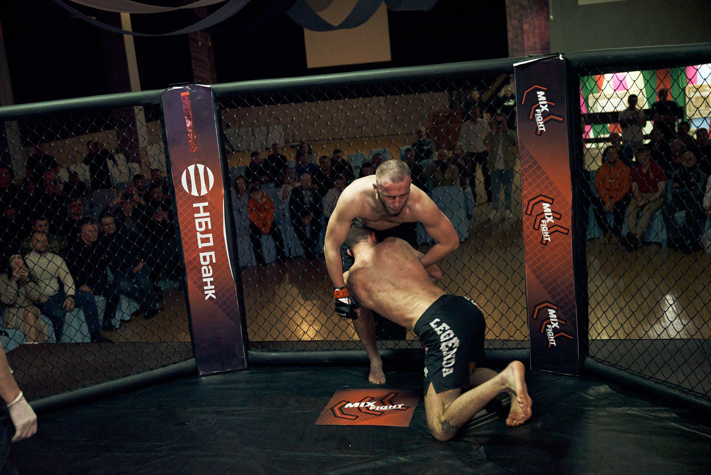 Бои. Маляревич Дмитрий свадебный фотограф