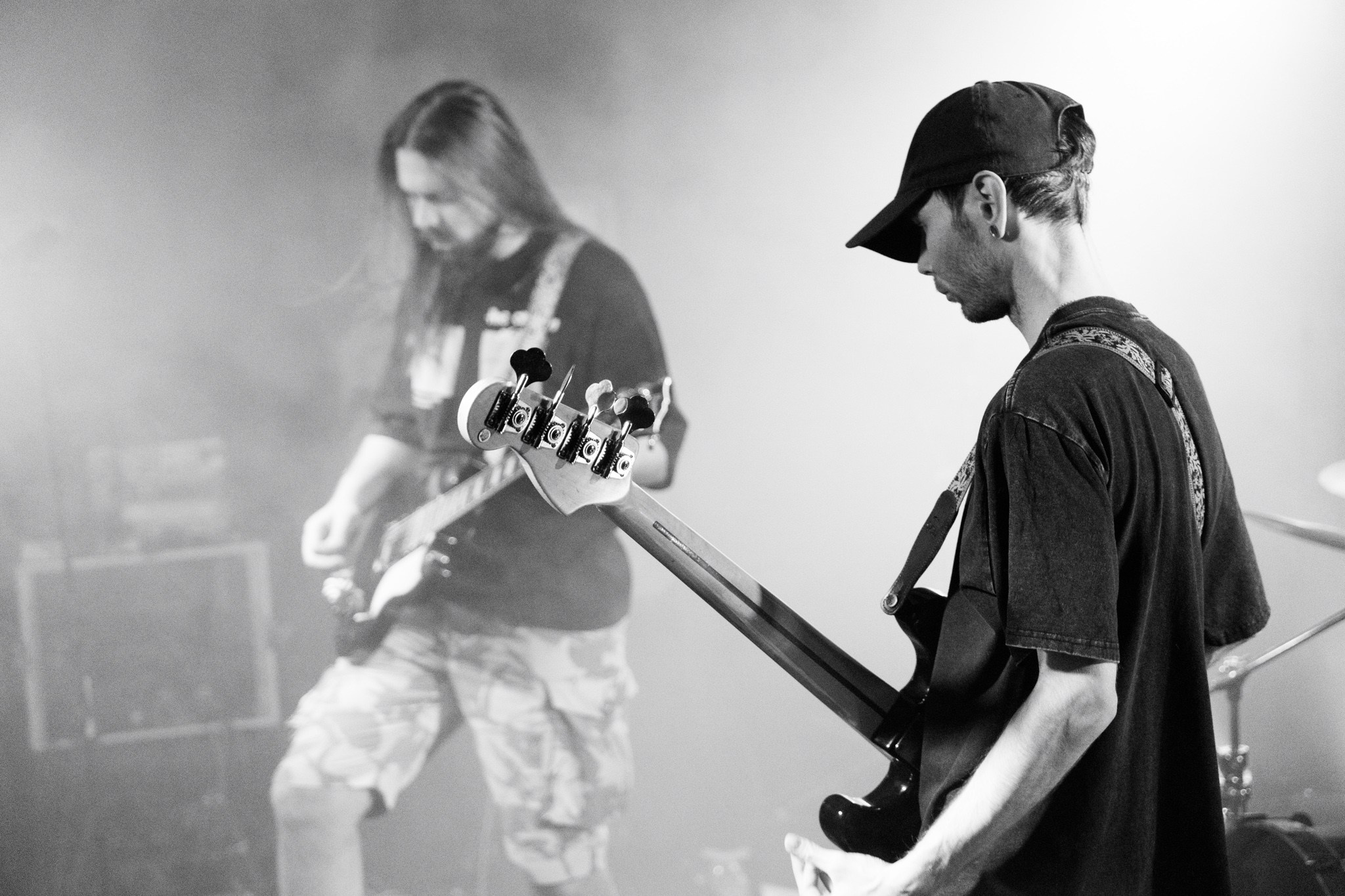 Змееед, Apodemus, 20.12.25, TAGO)))MAGO)))