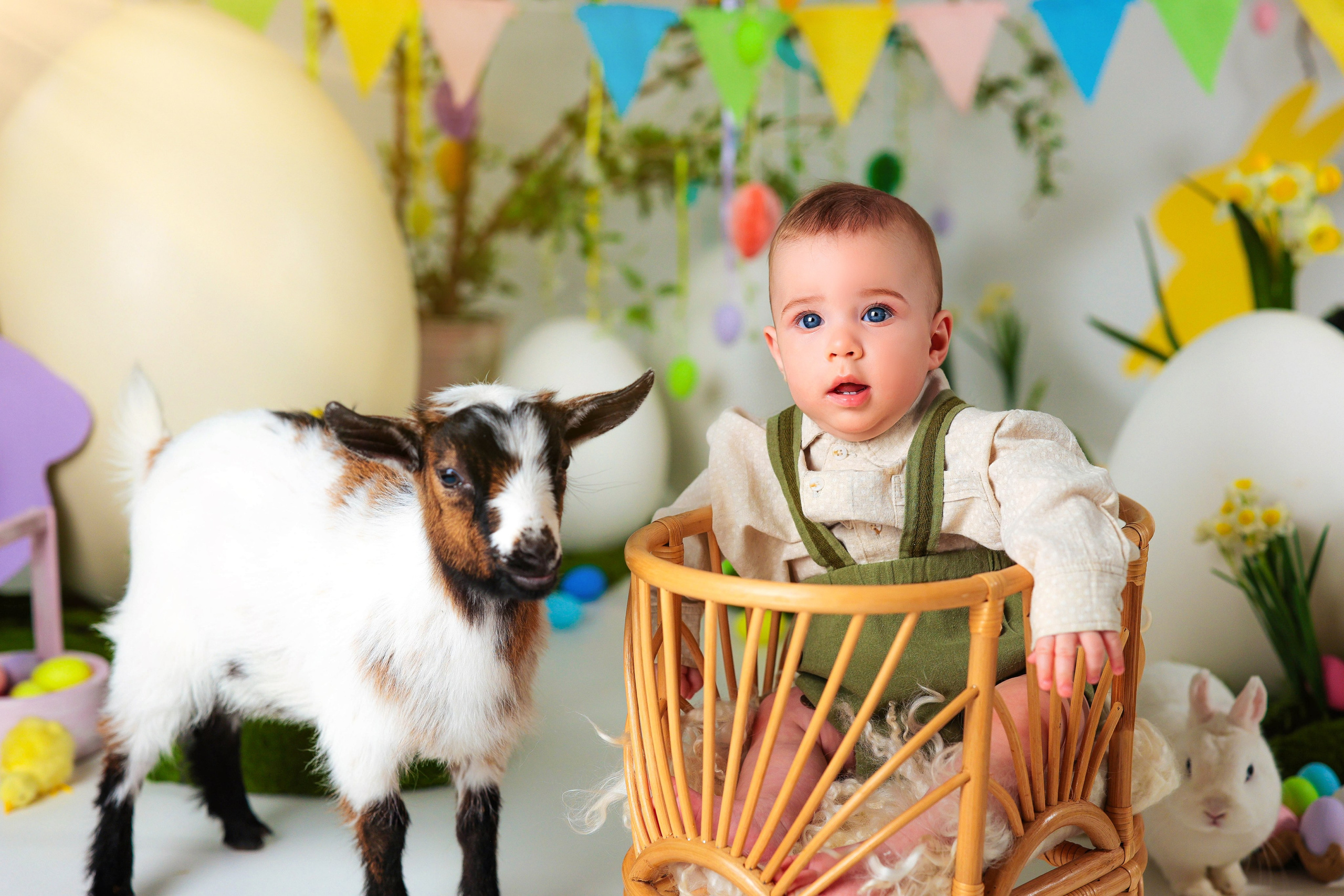 ДЕТСКИЕ ПРОЕКТЫ