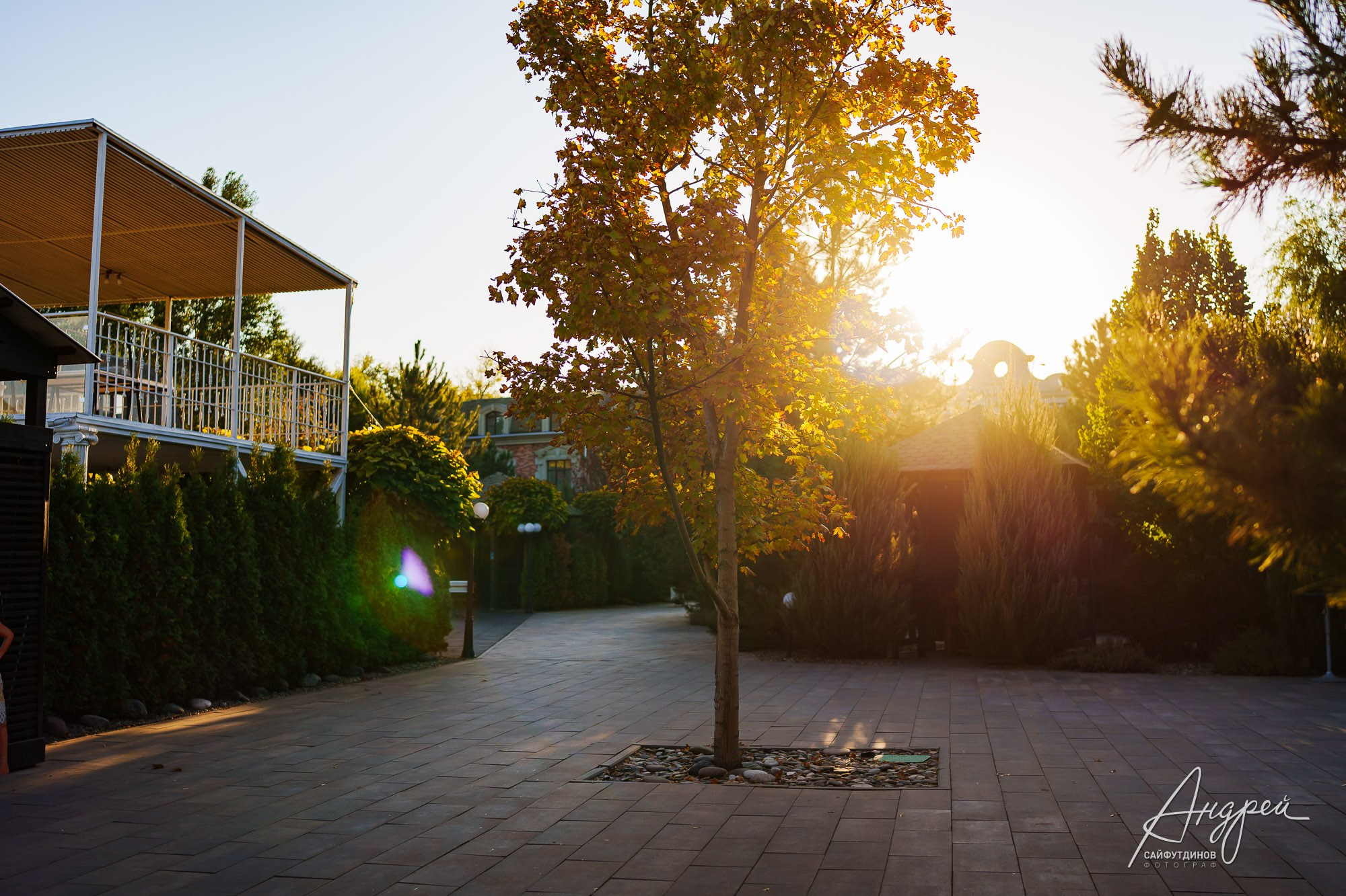 Фотоотчёт и бэкстейдж свадебной фотосессии. Свадебный и семейный фотограф в Ростове-на-Дону. Андрей Сайфутдинов