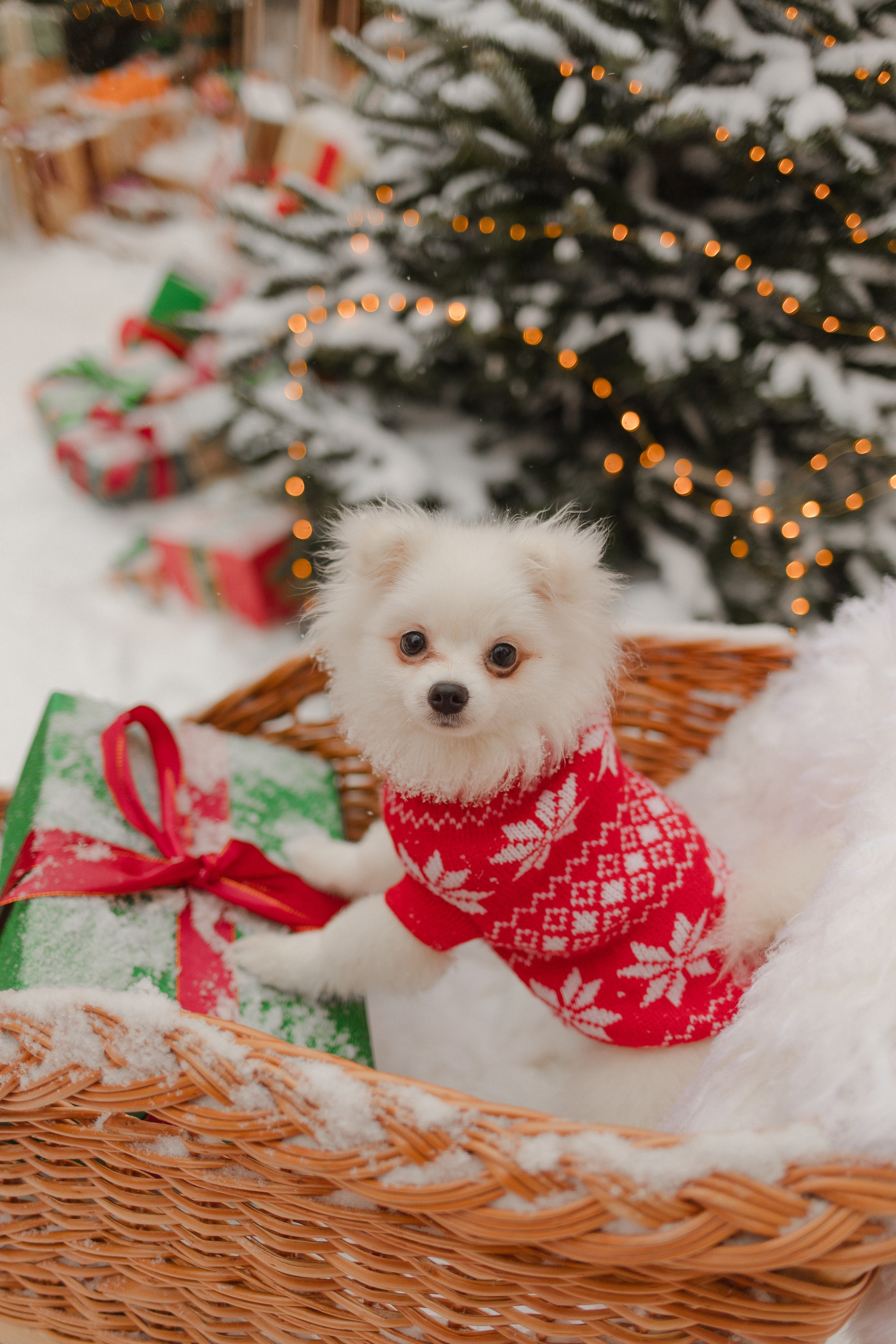 Гоша и Марина. Семейный и детский фотограф в Москве Кузьмина Мария