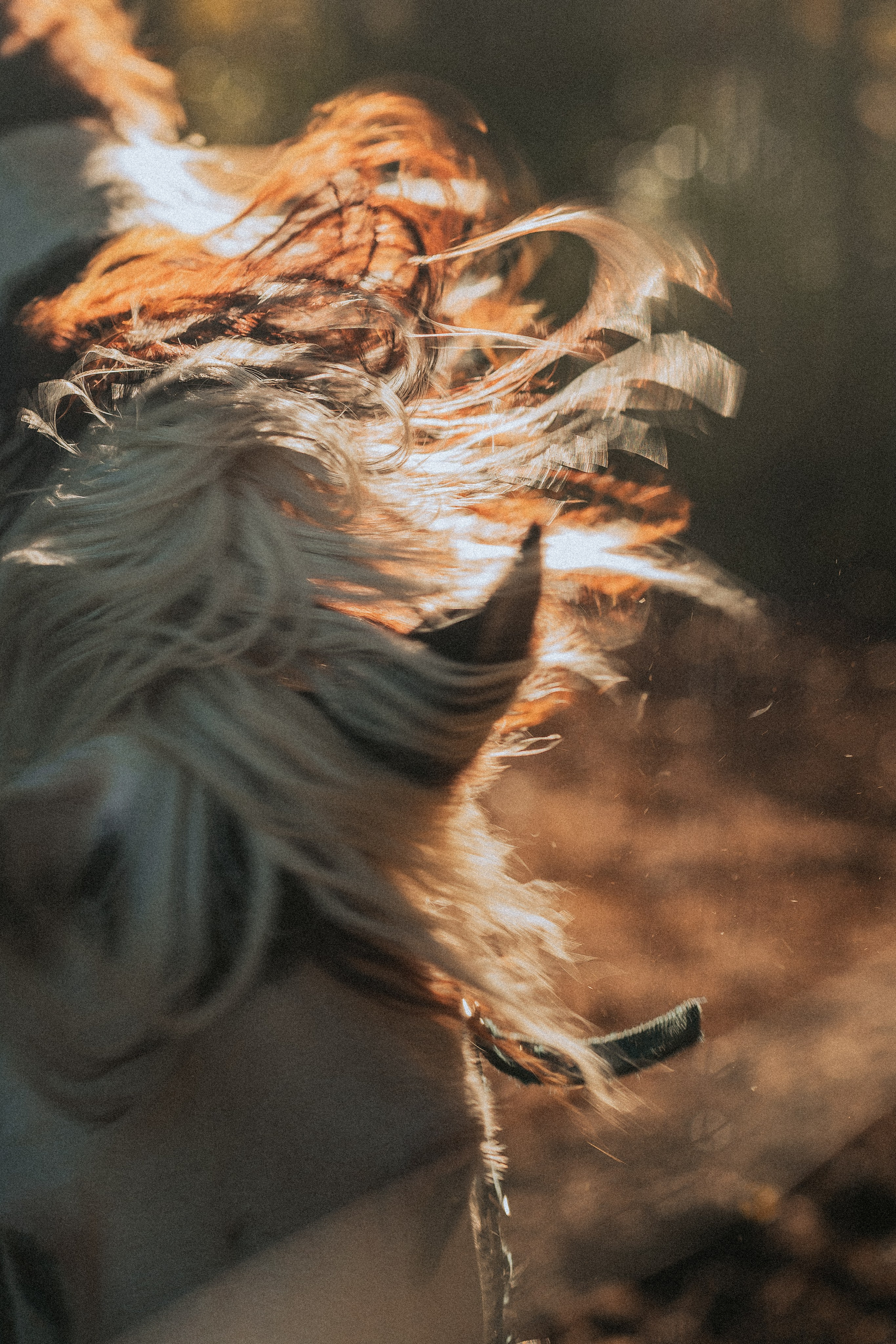 Born to be Wild. Юля Дэй • Фотограф, Санкт-Петербург