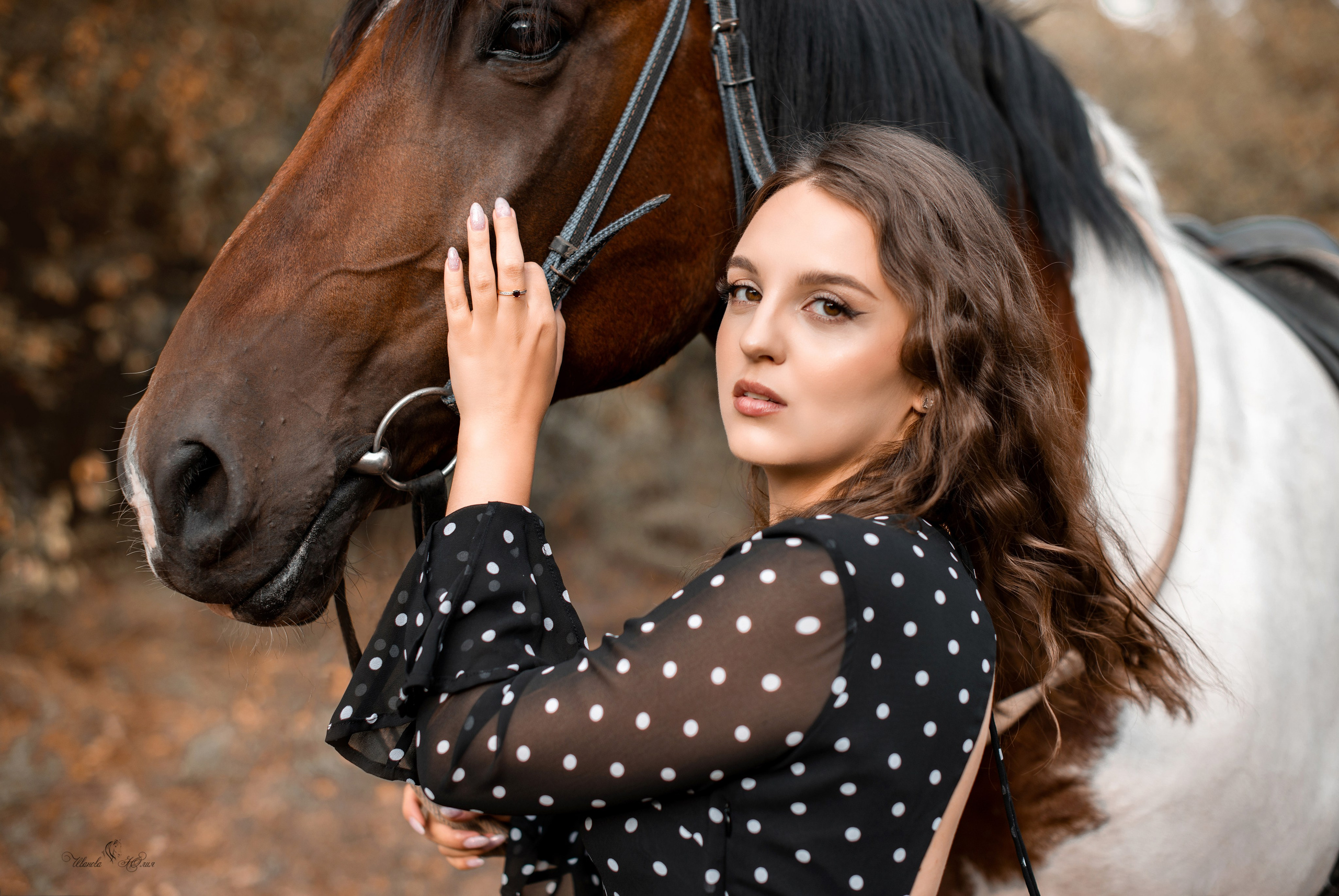 Владимир и Мария, Бугульма и Майя. Конный фотограф в Саратове Юлия Иванова