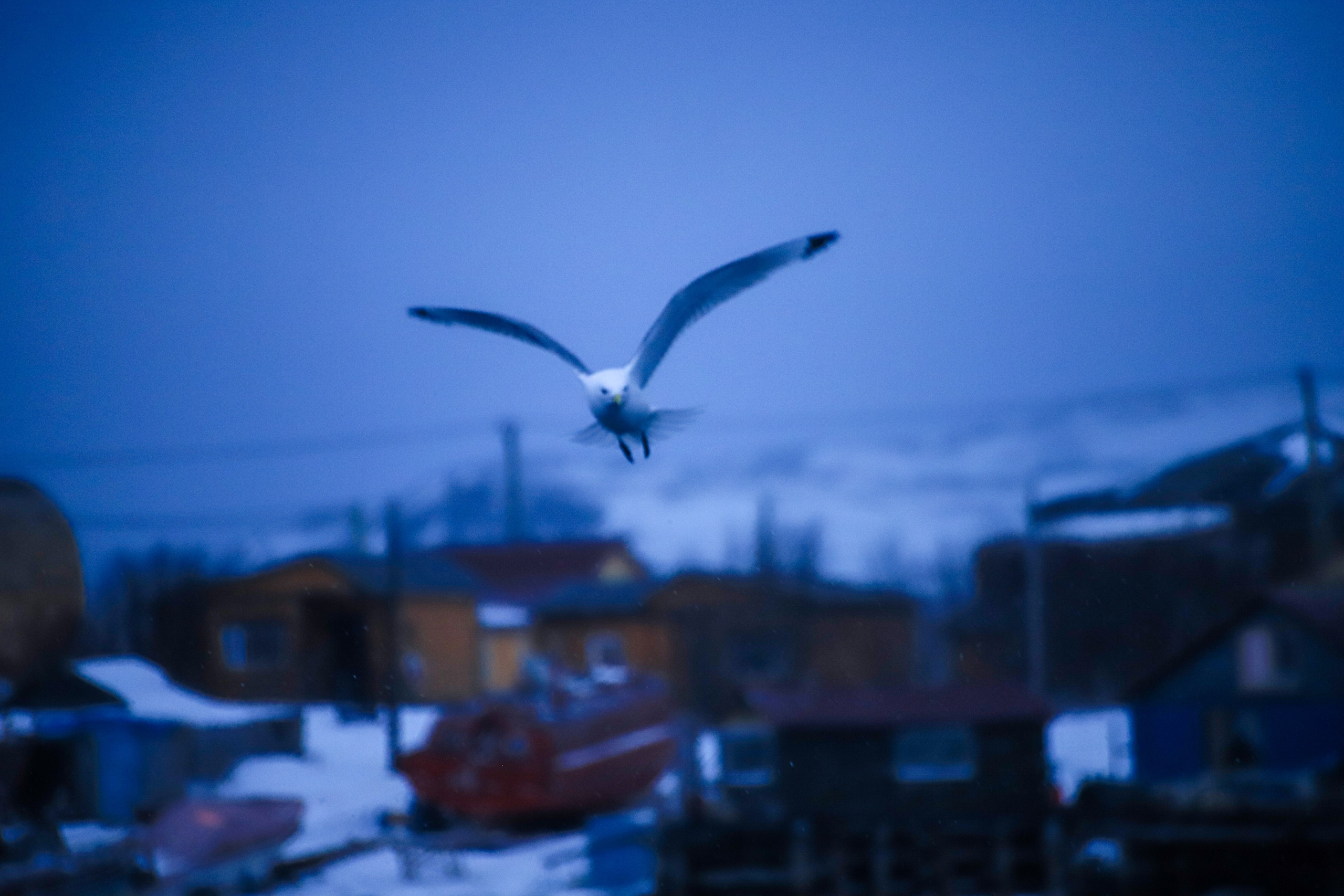 Фото с прогулок и с поездок на Кольский полуостров