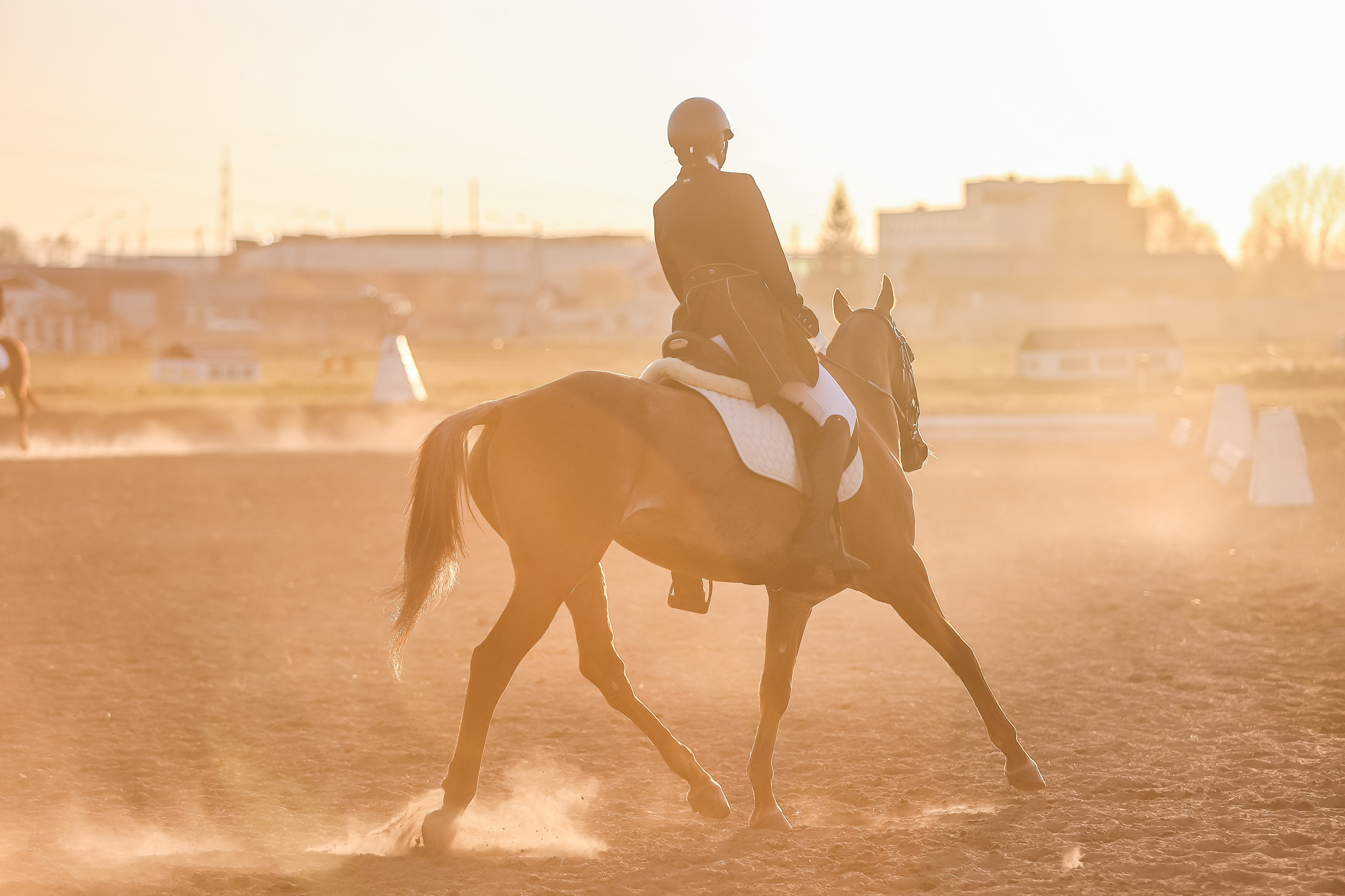 Репортаж соревнований. Главная